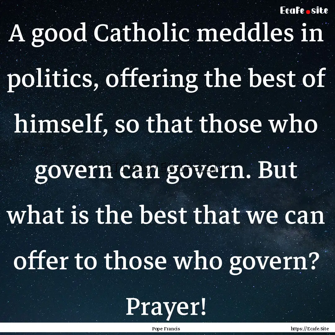 A good Catholic meddles in politics, offering.... : Quote by Pope Francis