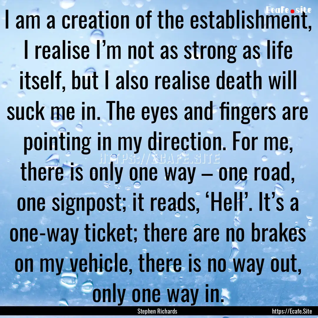 I am a creation of the establishment, I realise.... : Quote by Stephen Richards