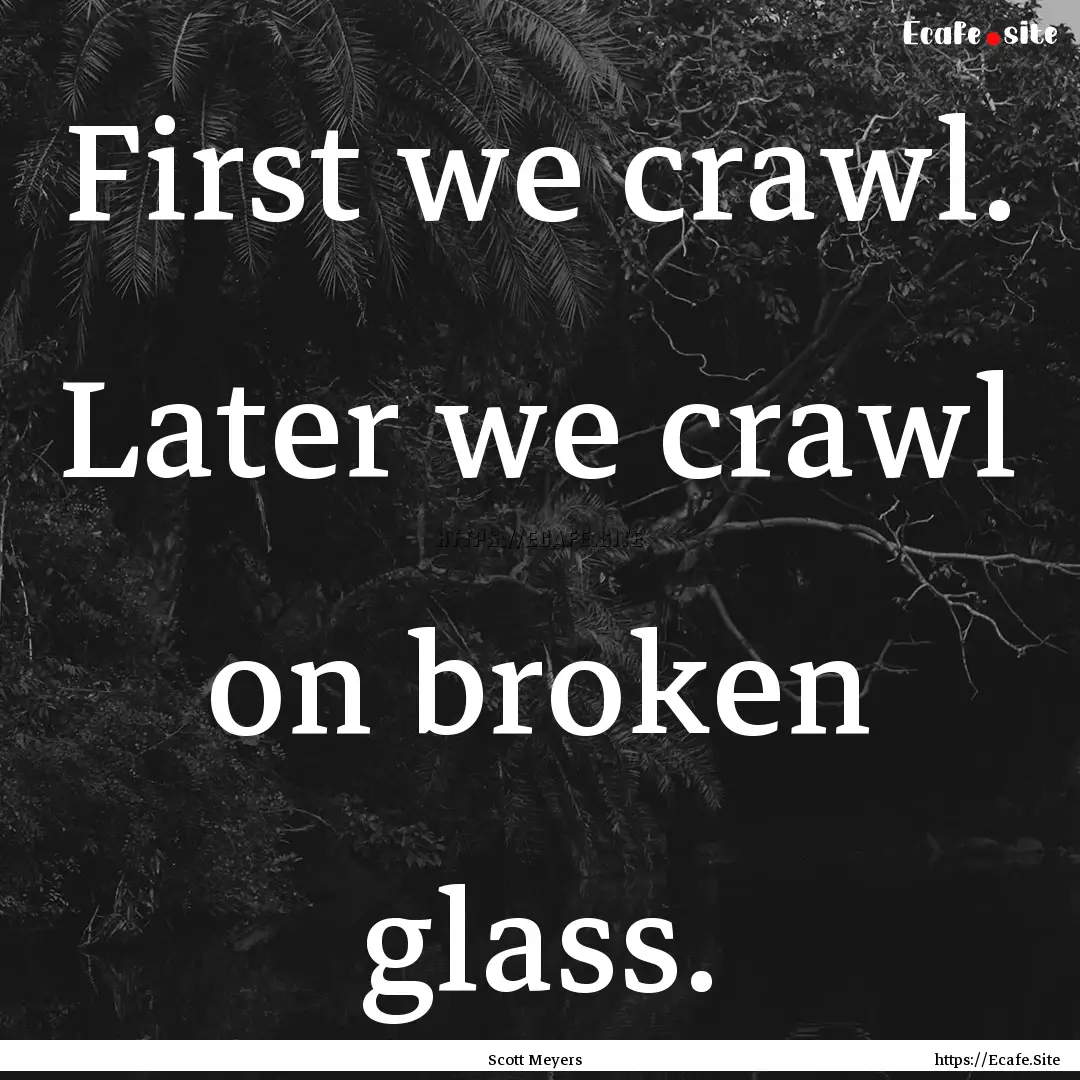 First we crawl. Later we crawl on broken.... : Quote by Scott Meyers