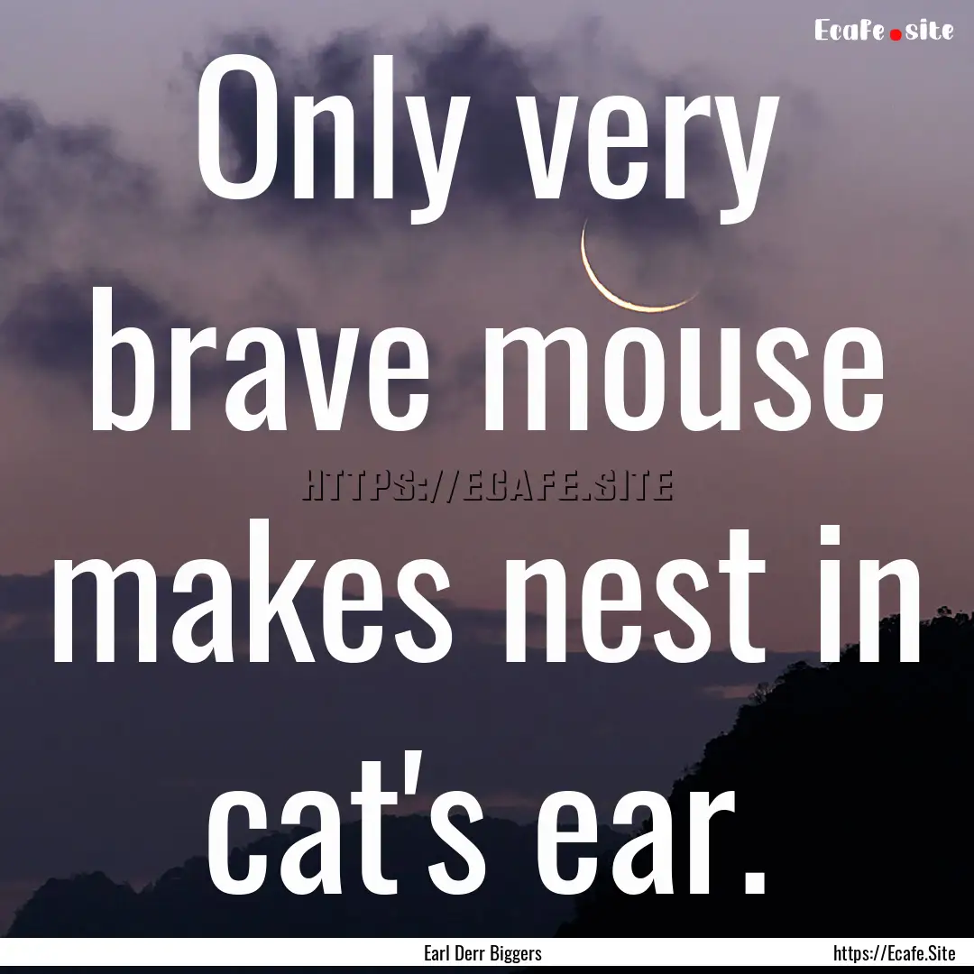 Only very brave mouse makes nest in cat's.... : Quote by Earl Derr Biggers