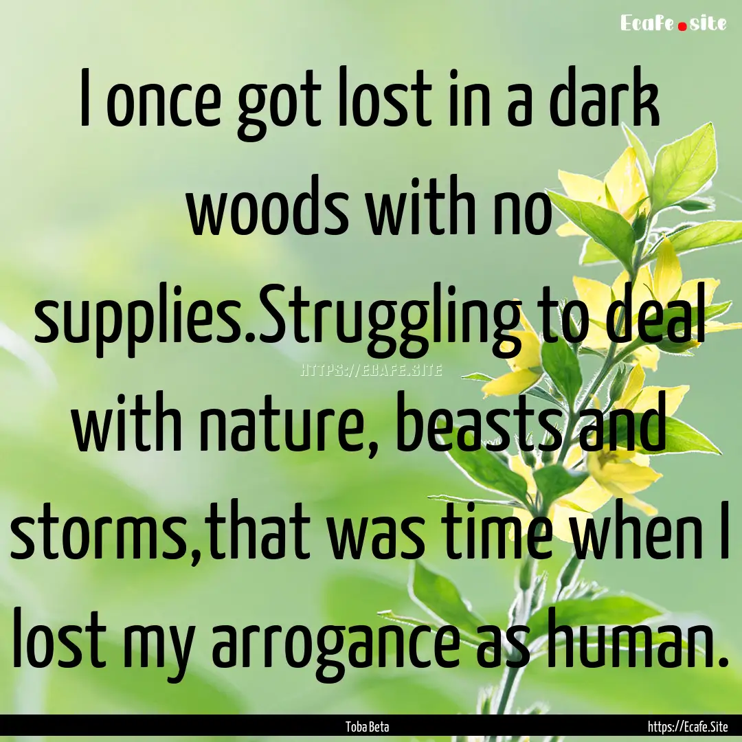 I once got lost in a dark woods with no supplies.Struggling.... : Quote by Toba Beta