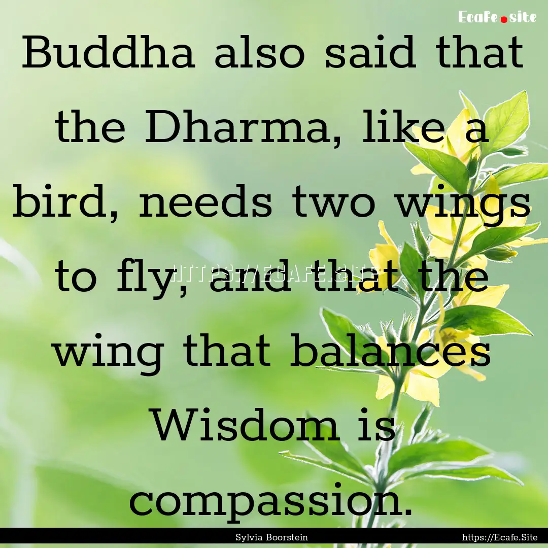 Buddha also said that the Dharma, like a.... : Quote by Sylvia Boorstein