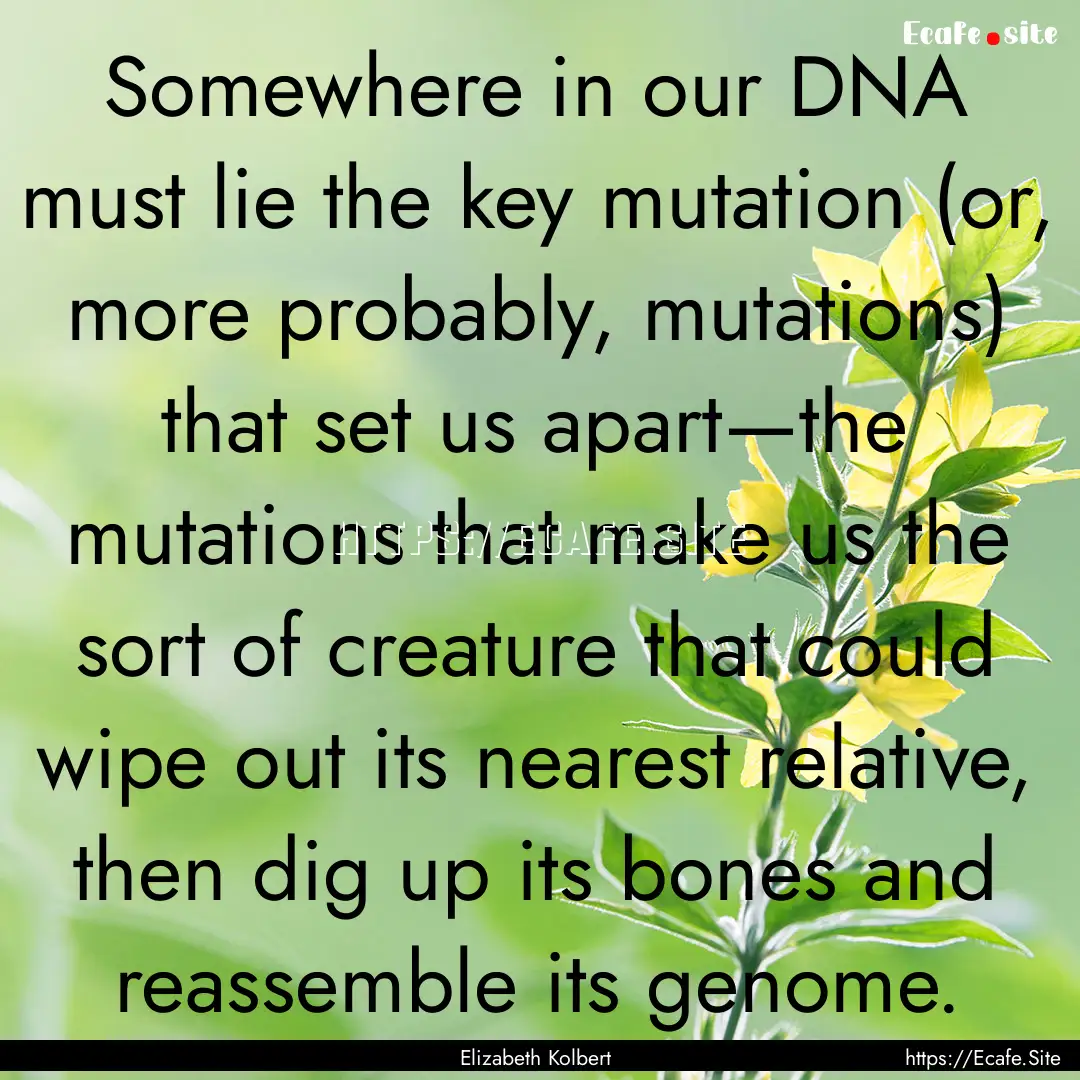 Somewhere in our DNA must lie the key mutation.... : Quote by Elizabeth Kolbert