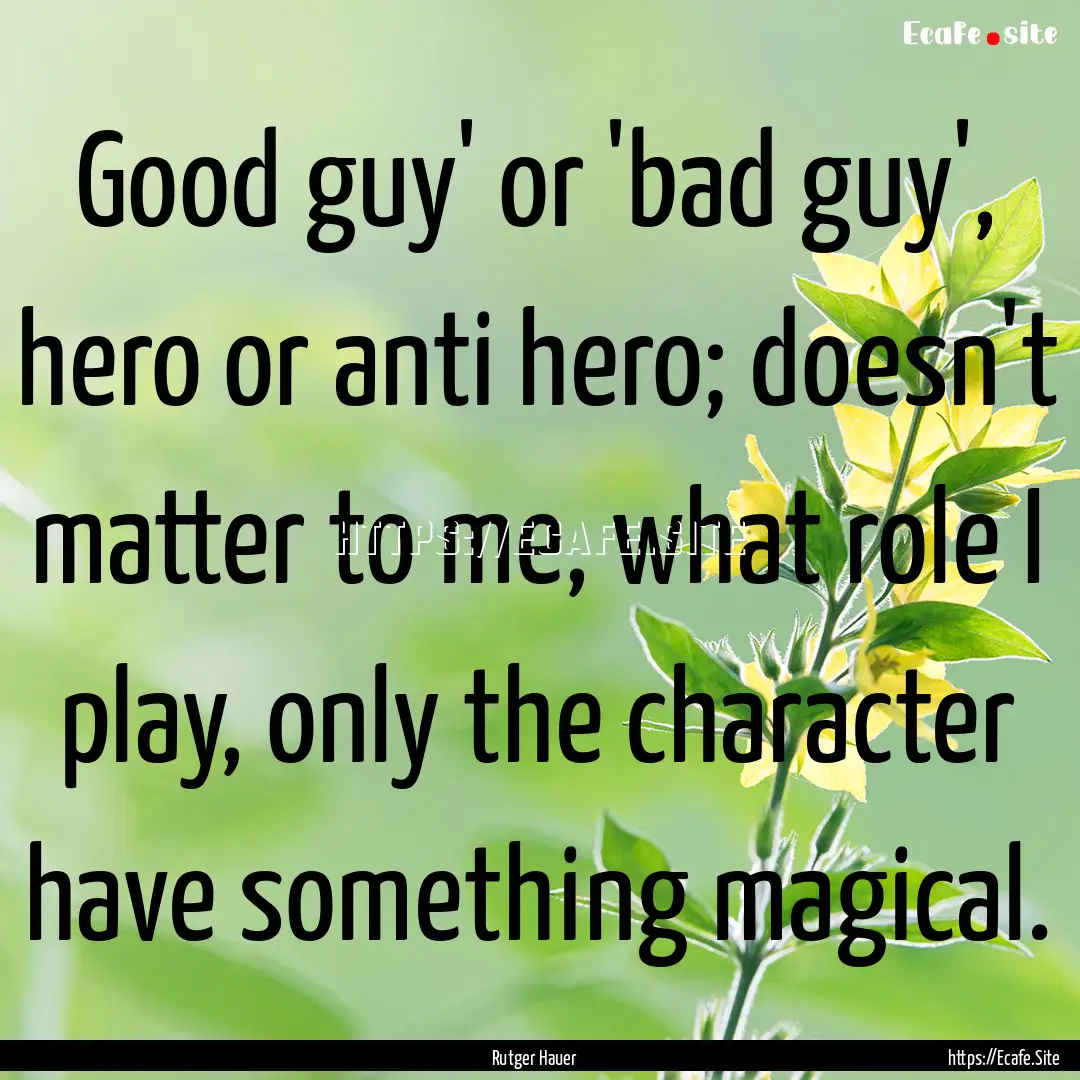 Good guy' or 'bad guy', hero or anti hero;.... : Quote by Rutger Hauer