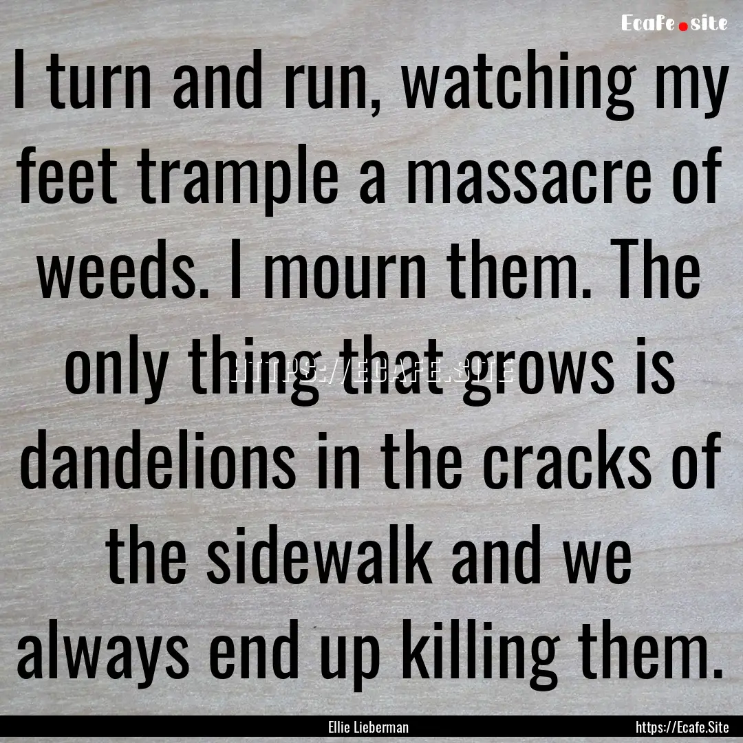 I turn and run, watching my feet trample.... : Quote by Ellie Lieberman