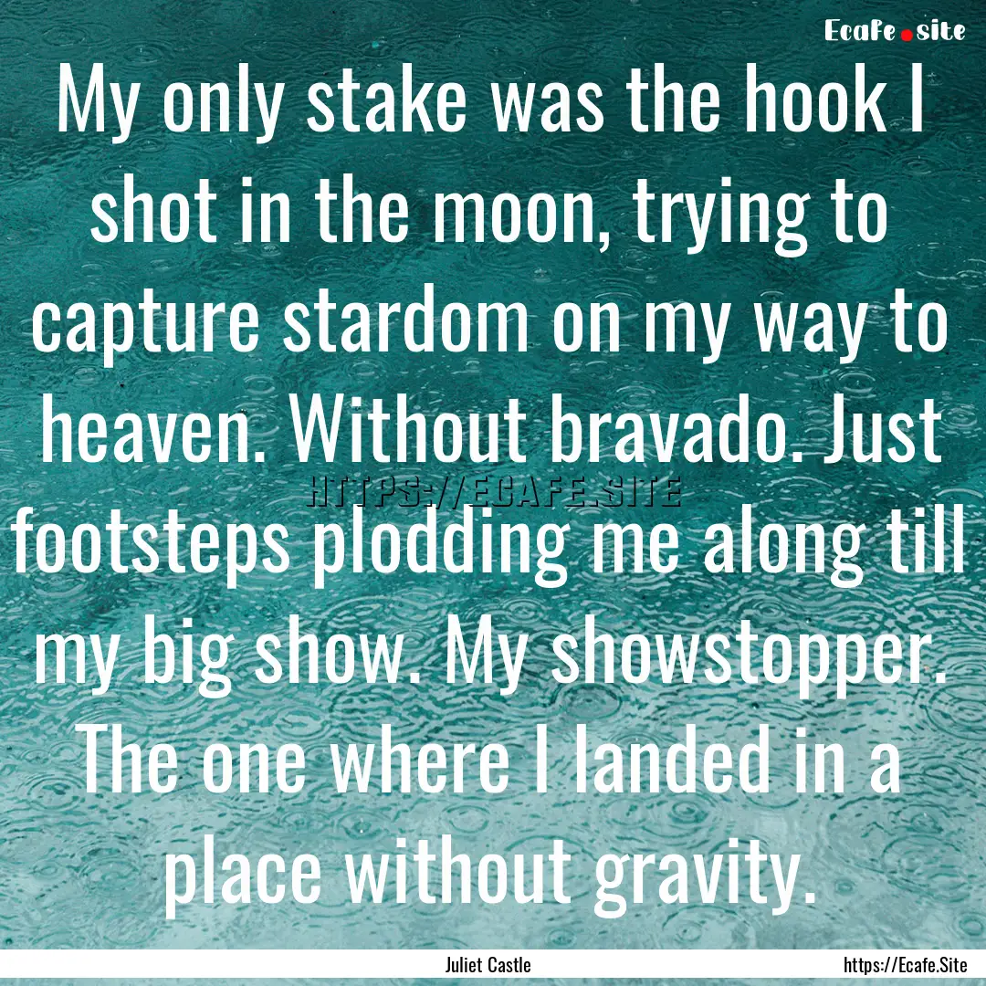 My only stake was the hook I shot in the.... : Quote by Juliet Castle