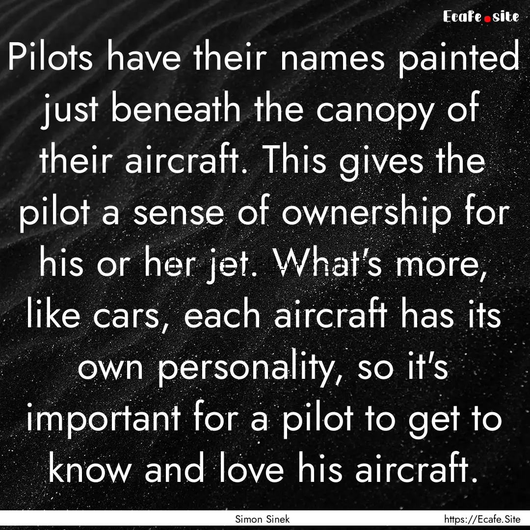 Pilots have their names painted just beneath.... : Quote by Simon Sinek