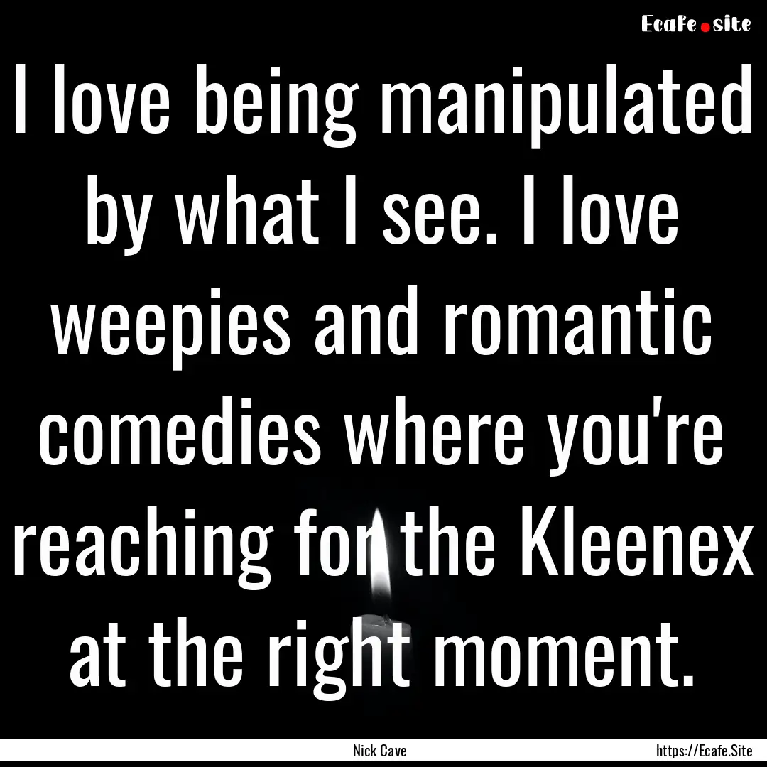 I love being manipulated by what I see. I.... : Quote by Nick Cave