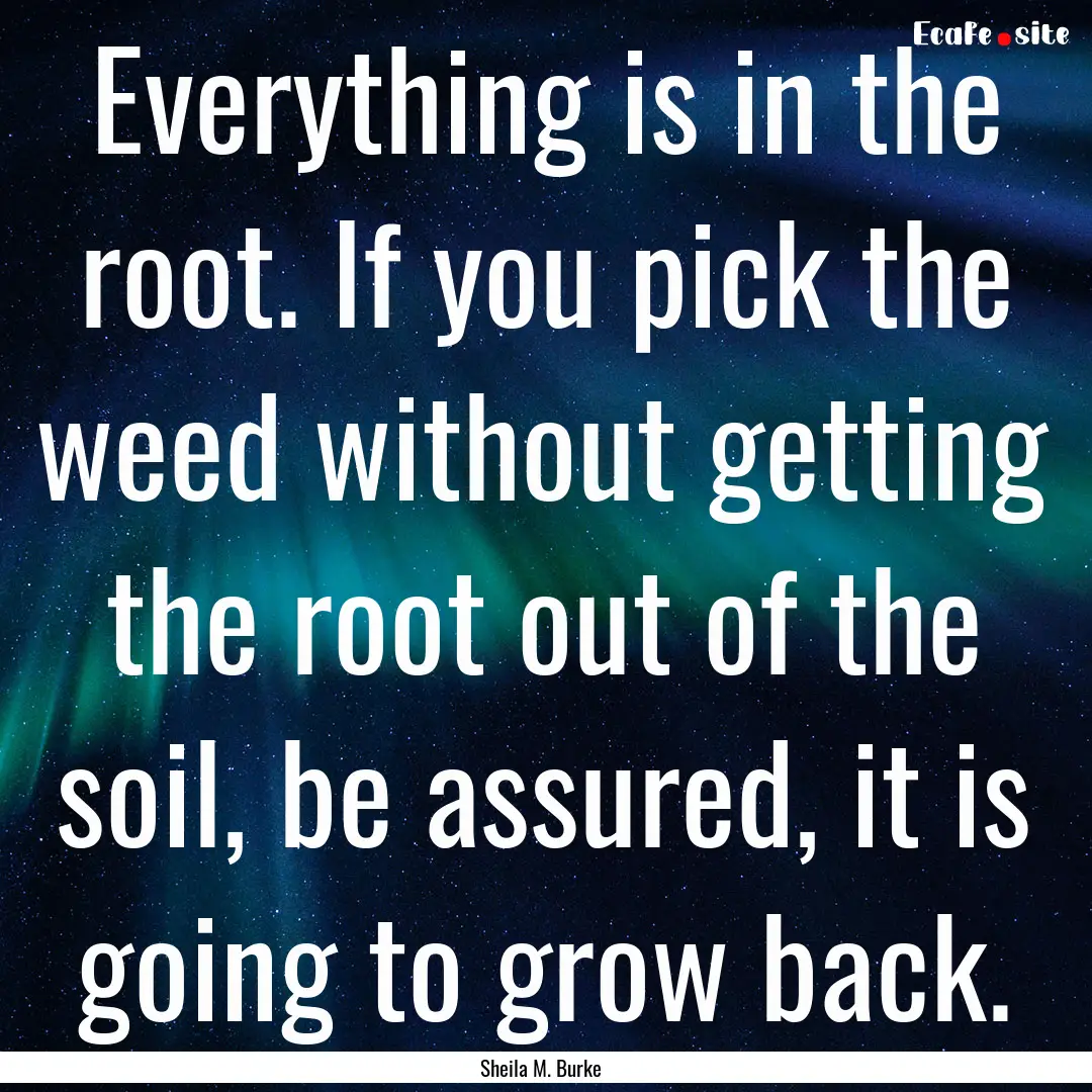 Everything is in the root. If you pick the.... : Quote by Sheila M. Burke