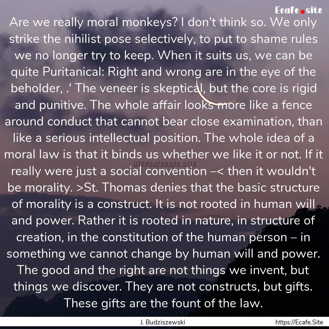 Are we really moral monkeys? I don't think.... : Quote by J. Budziszewski