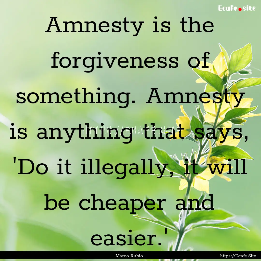 Amnesty is the forgiveness of something..... : Quote by Marco Rubio