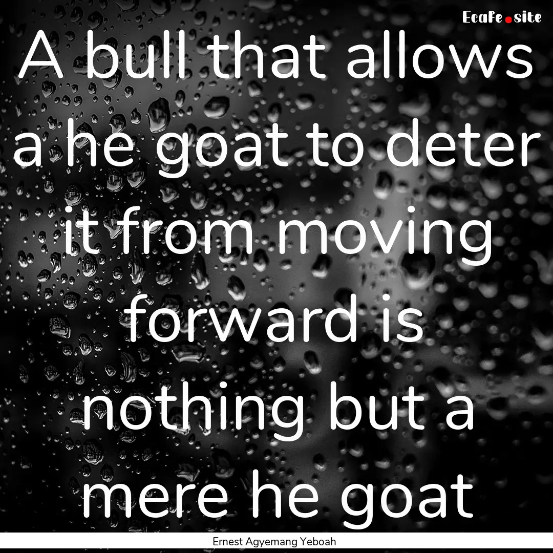 A bull that allows a he goat to deter it.... : Quote by Ernest Agyemang Yeboah