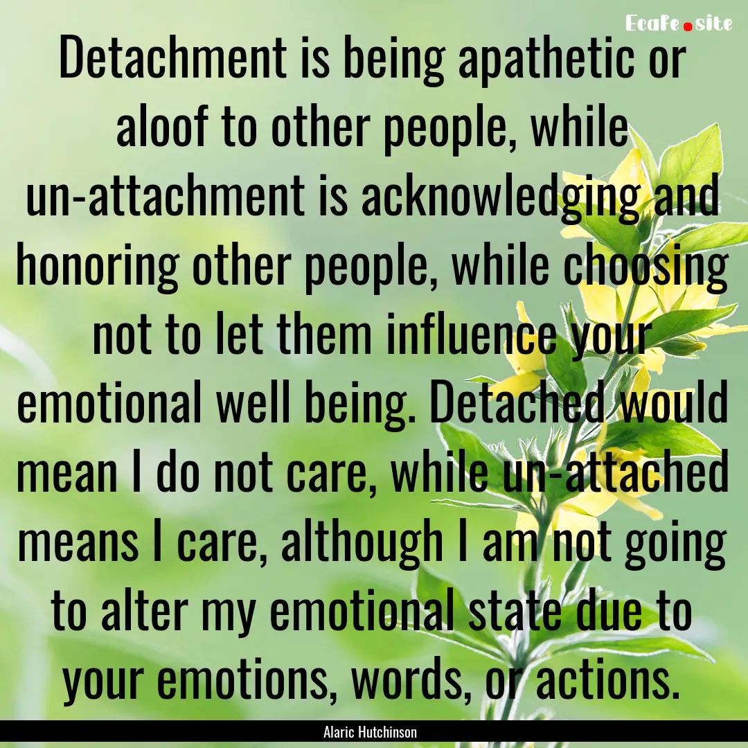 Detachment is being apathetic or aloof to.... : Quote by Alaric Hutchinson