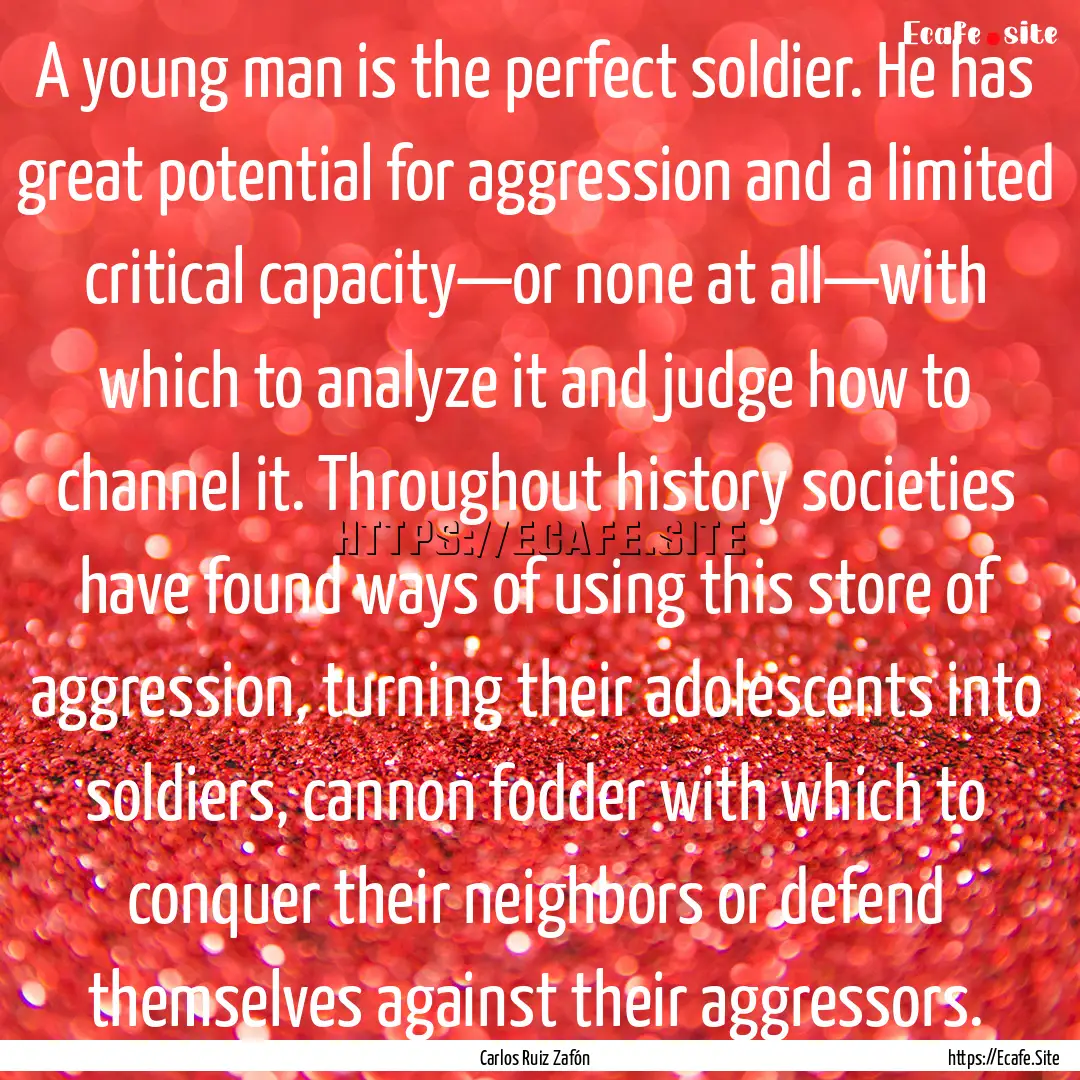 A young man is the perfect soldier. He has.... : Quote by Carlos Ruiz Zafón