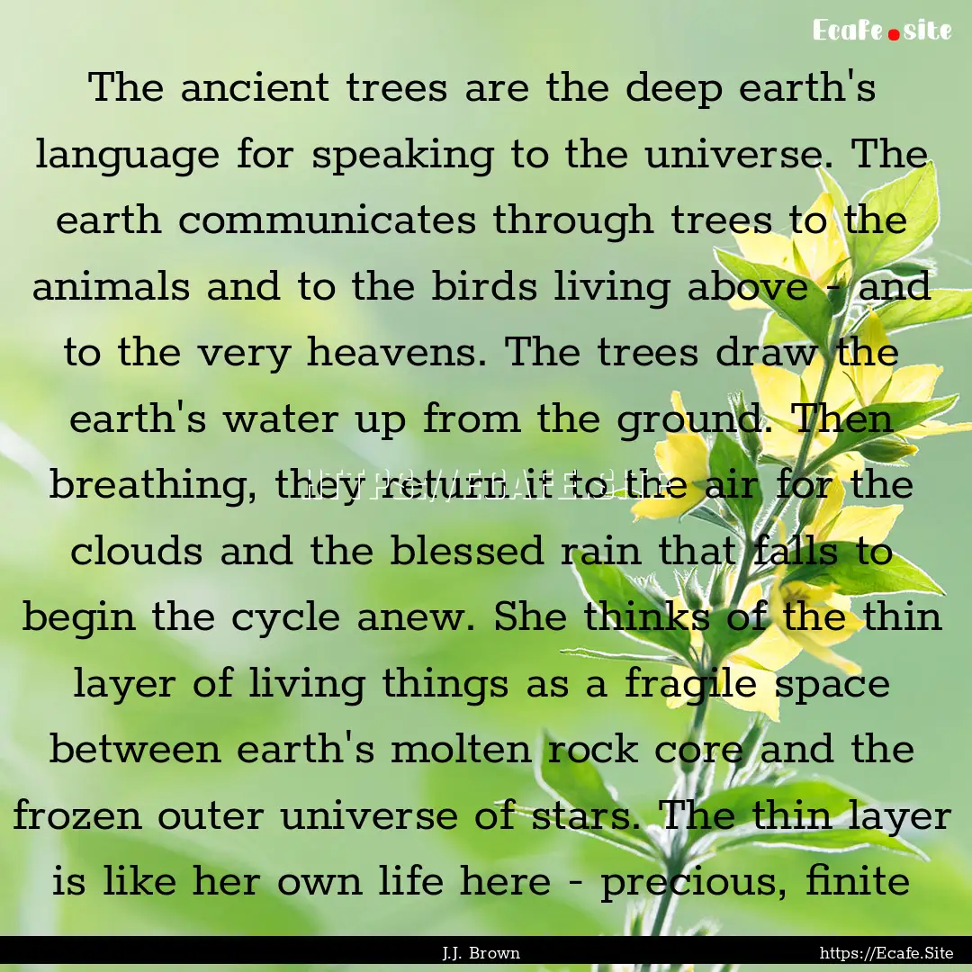 The ancient trees are the deep earth's language.... : Quote by J.J. Brown