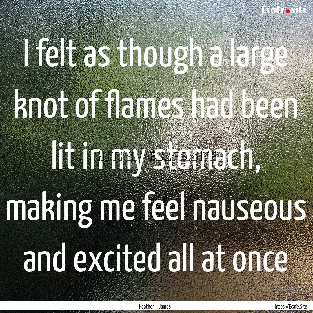 I felt as though a large knot of flames had.... : Quote by Heather James