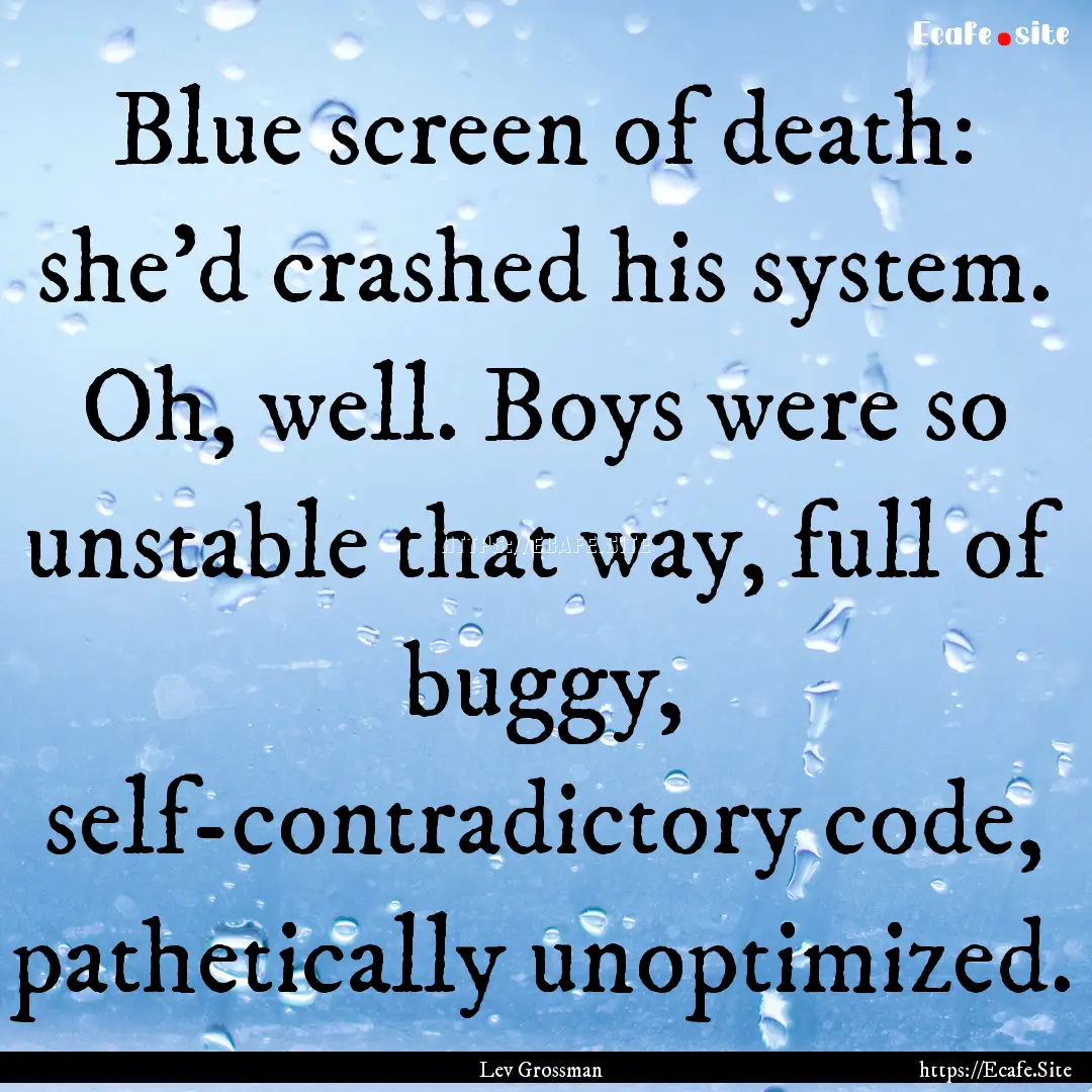 Blue screen of death: she'd crashed his system..... : Quote by Lev Grossman