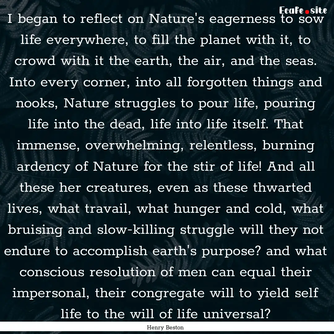 I began to reflect on Nature's eagerness.... : Quote by Henry Beston