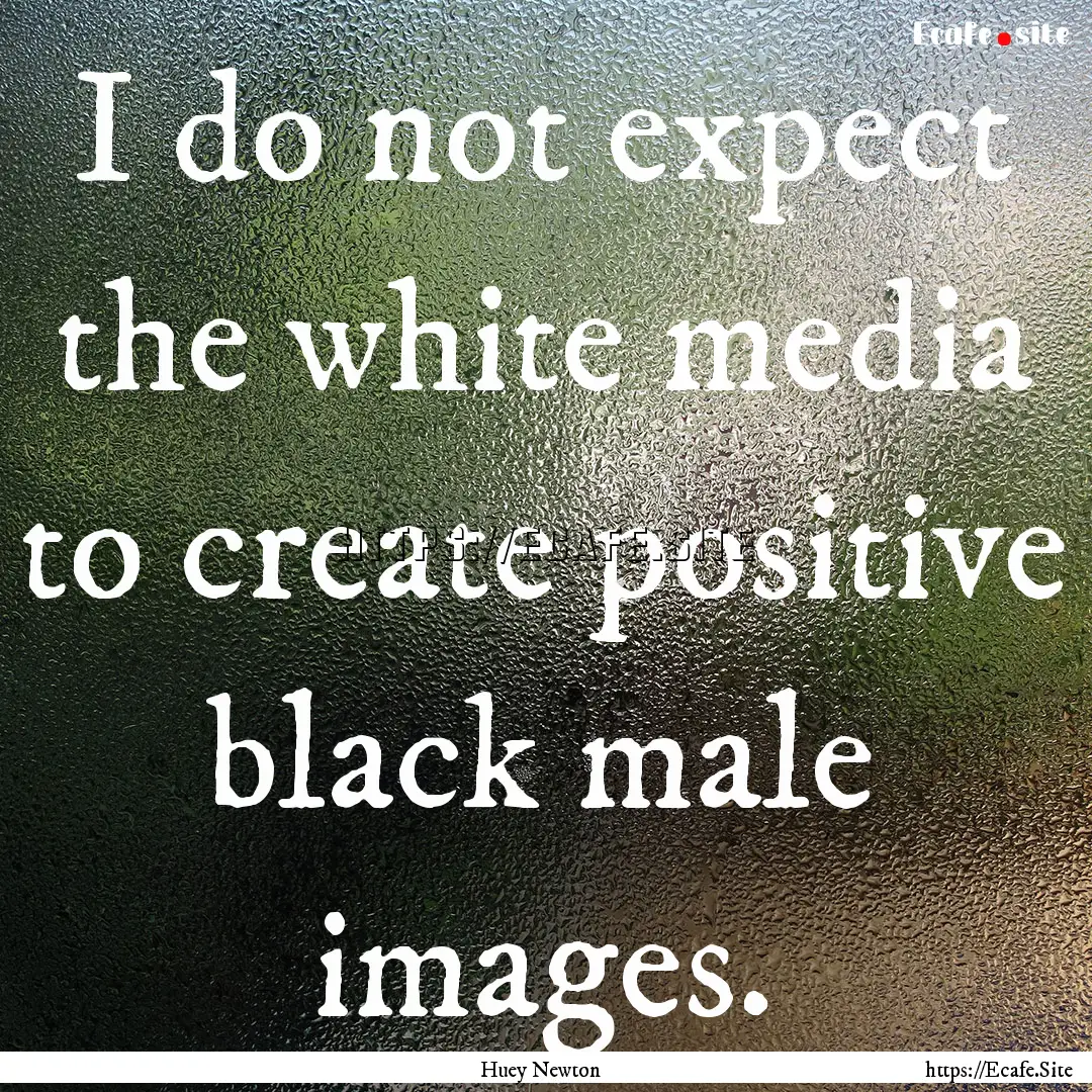 I do not expect the white media to create.... : Quote by Huey Newton