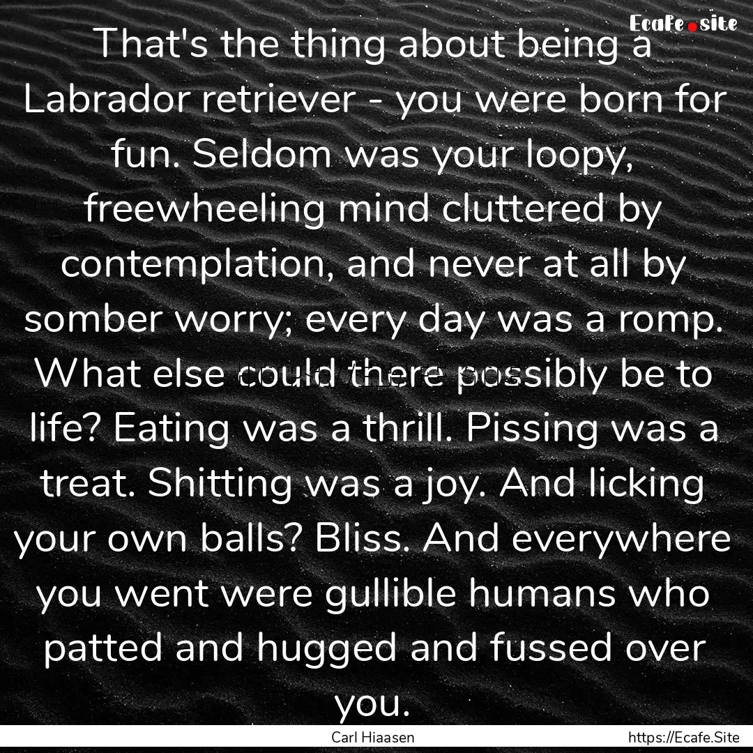 That's the thing about being a Labrador retriever.... : Quote by Carl Hiaasen