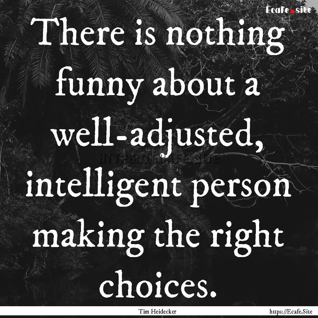 There is nothing funny about a well-adjusted,.... : Quote by Tim Heidecker