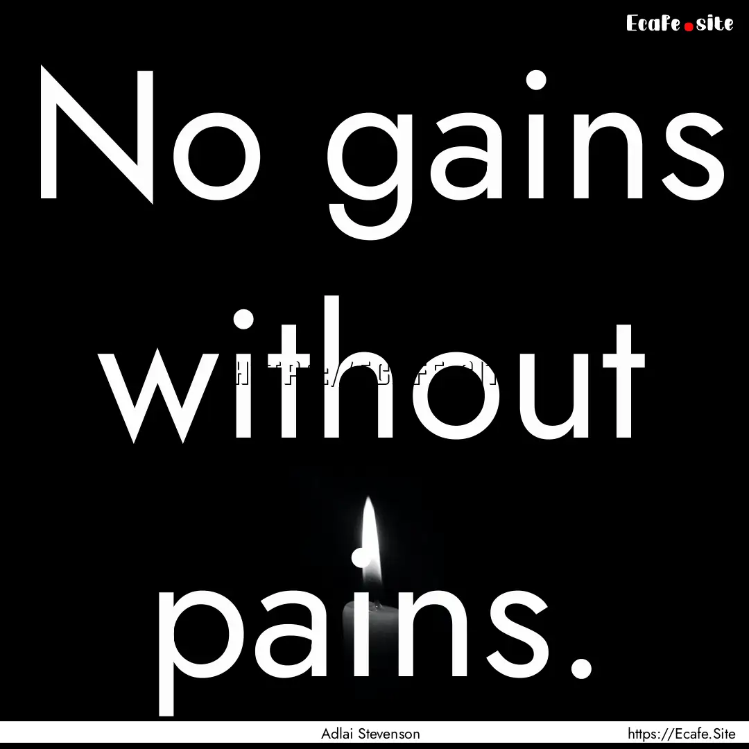 No gains without pains. : Quote by Adlai Stevenson