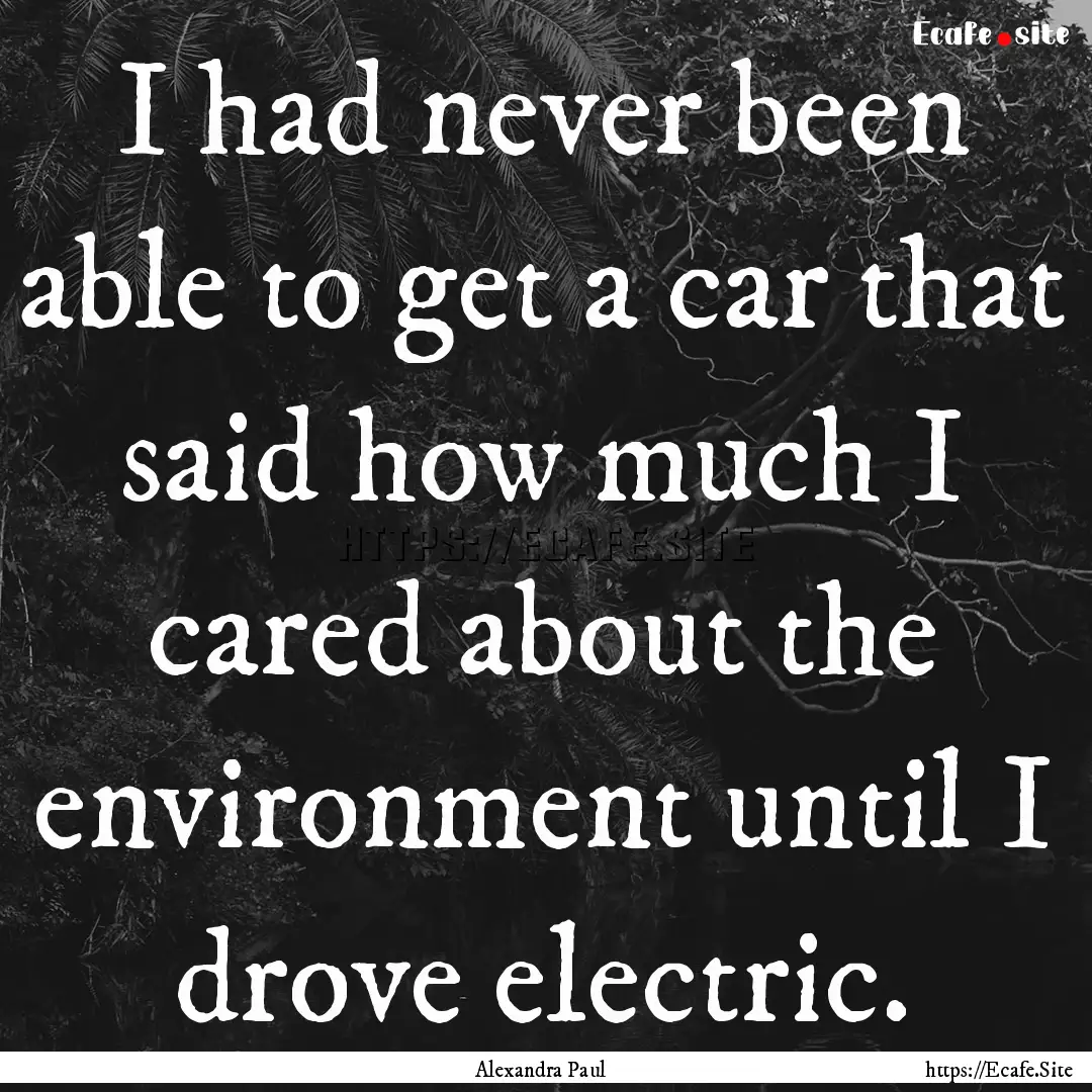 I had never been able to get a car that said.... : Quote by Alexandra Paul