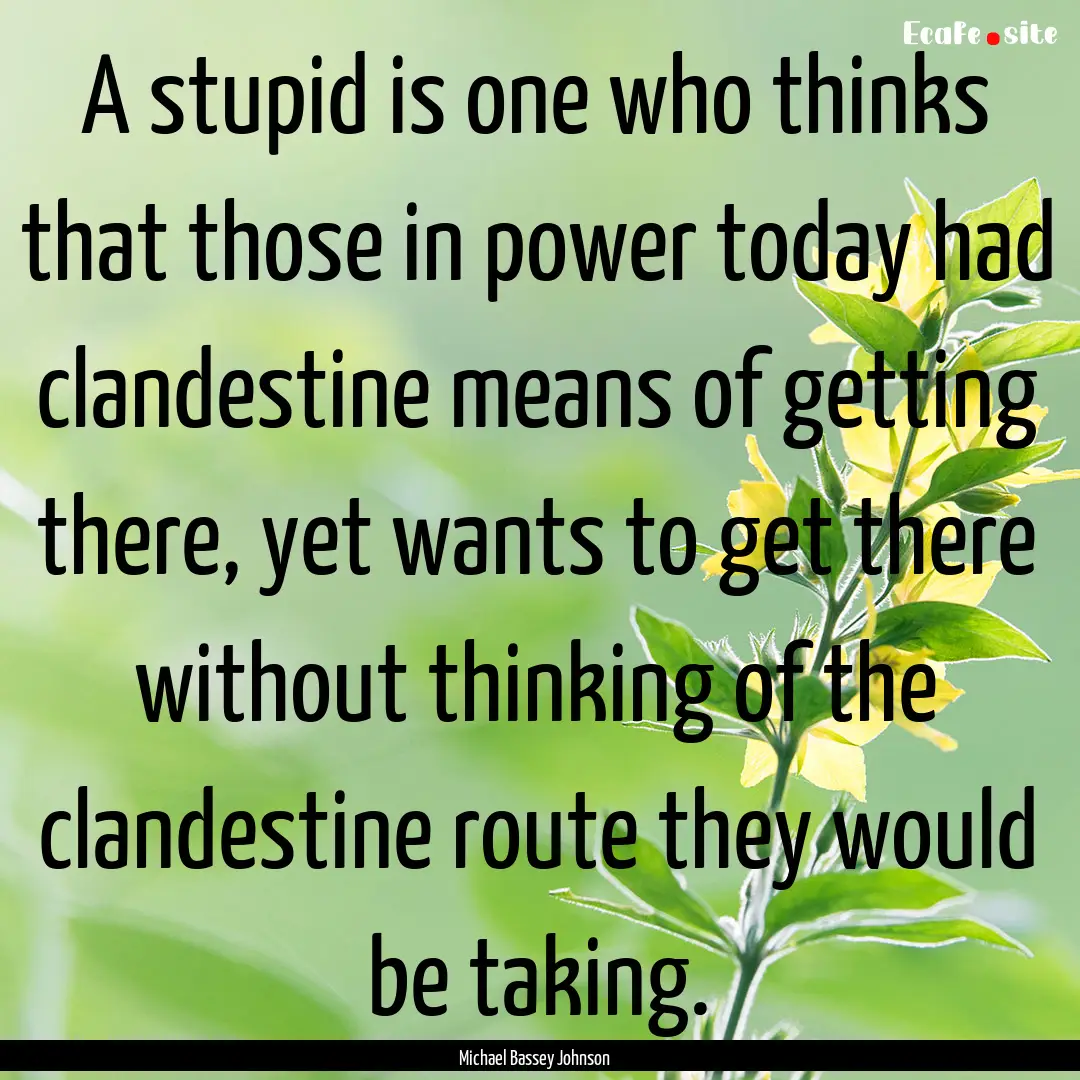 A stupid is one who thinks that those in.... : Quote by Michael Bassey Johnson