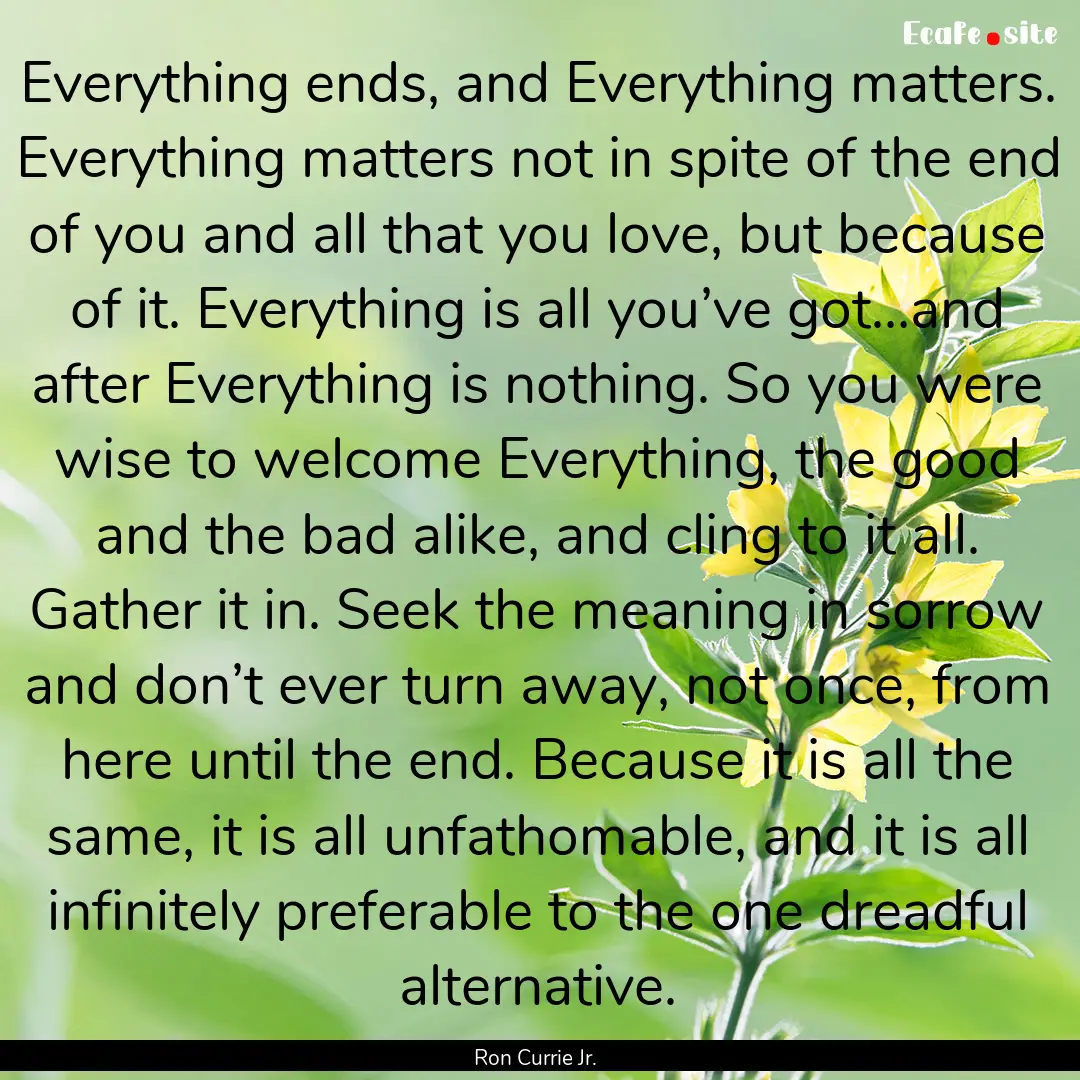 Everything ends, and Everything matters..... : Quote by Ron Currie Jr.