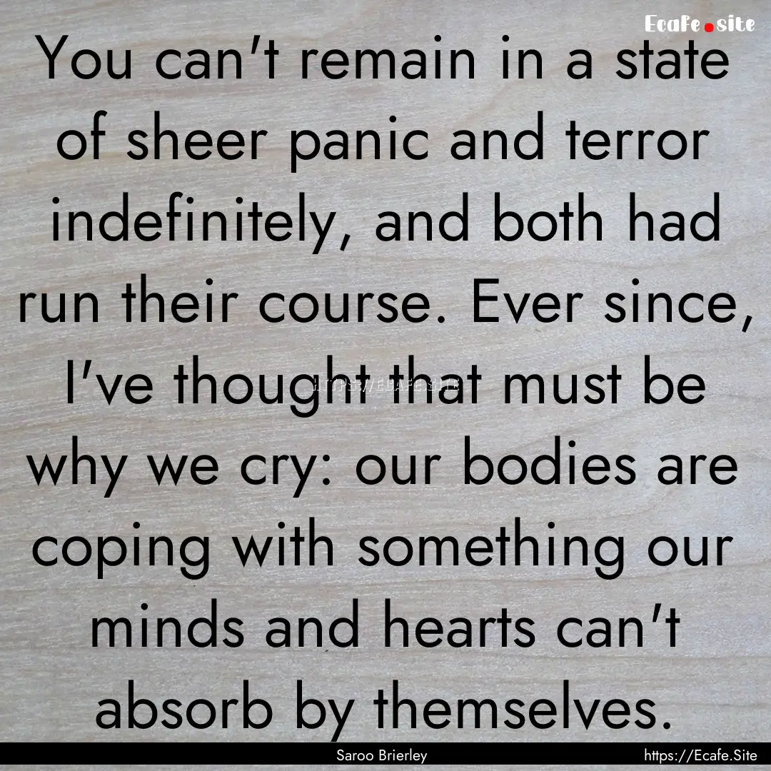 You can't remain in a state of sheer panic.... : Quote by Saroo Brierley