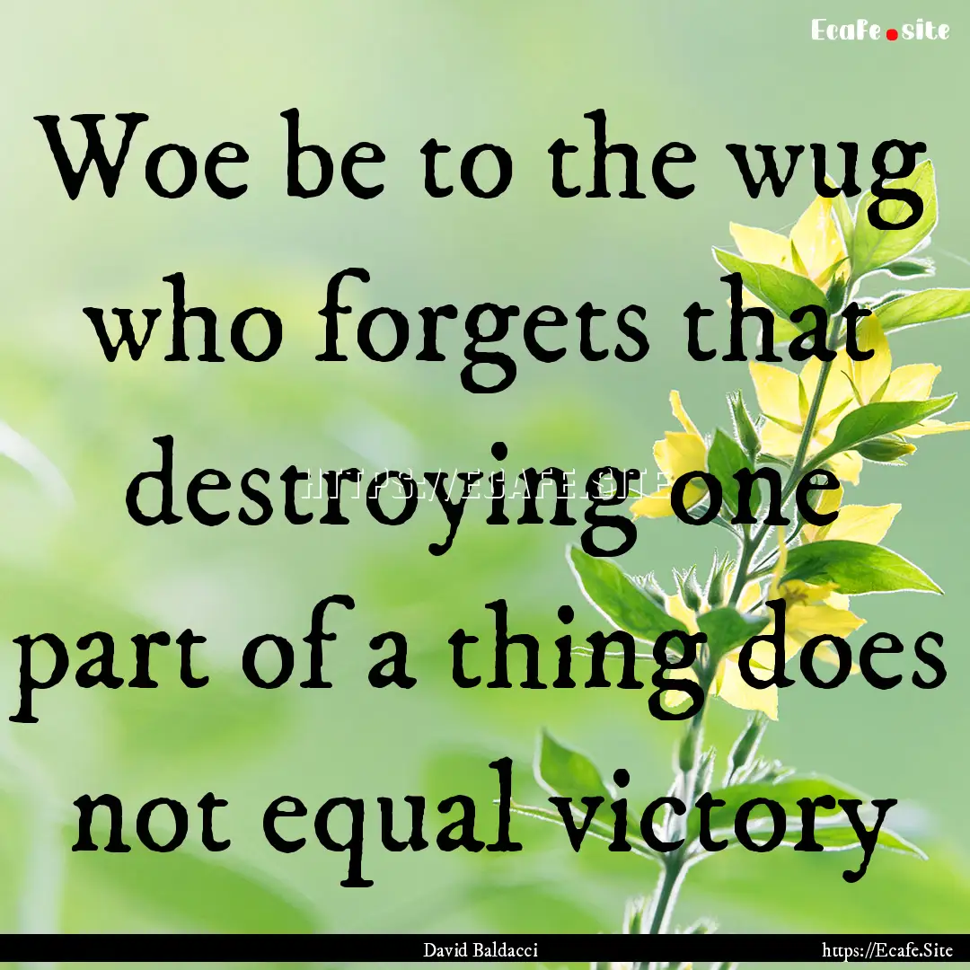 Woe be to the wug who forgets that destroying.... : Quote by David Baldacci