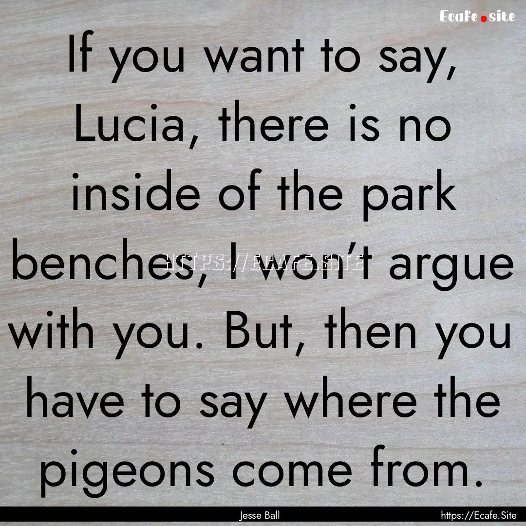 If you want to say, Lucia, there is no inside.... : Quote by Jesse Ball