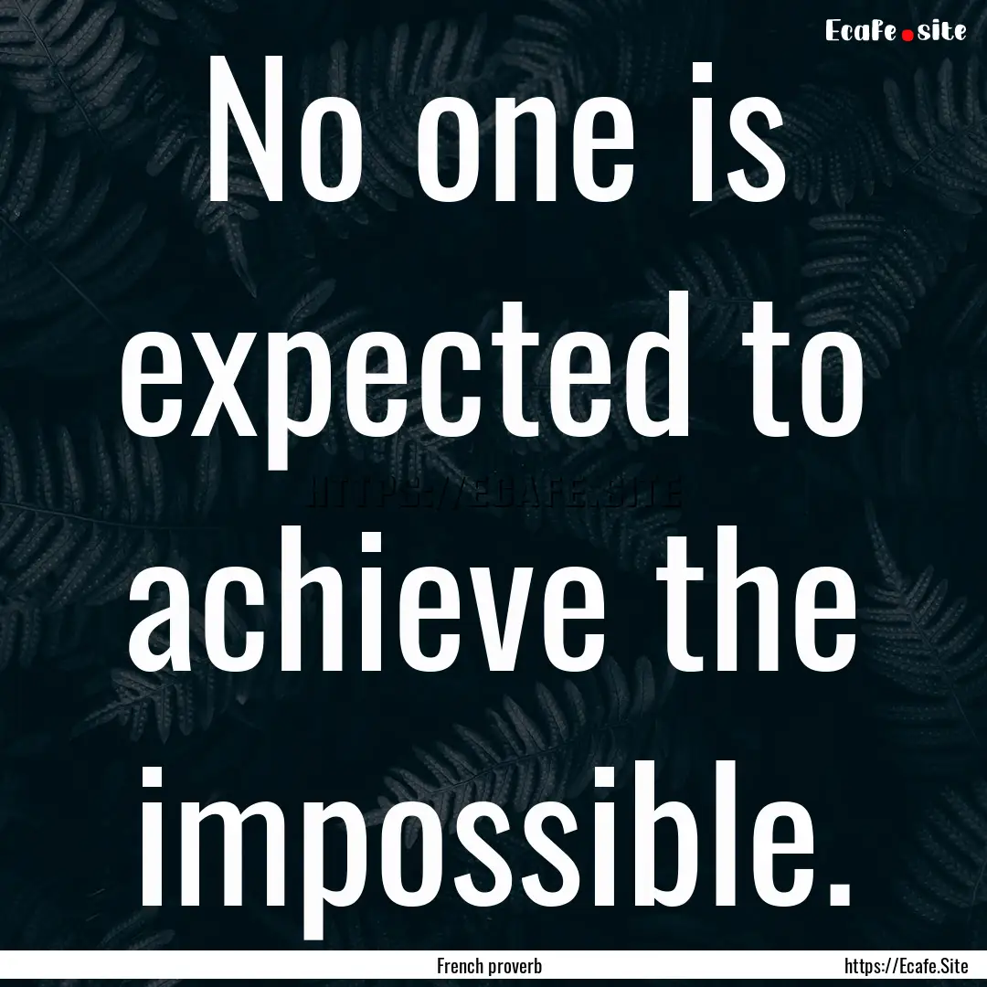 No one is expected to achieve the impossible..... : Quote by French proverb