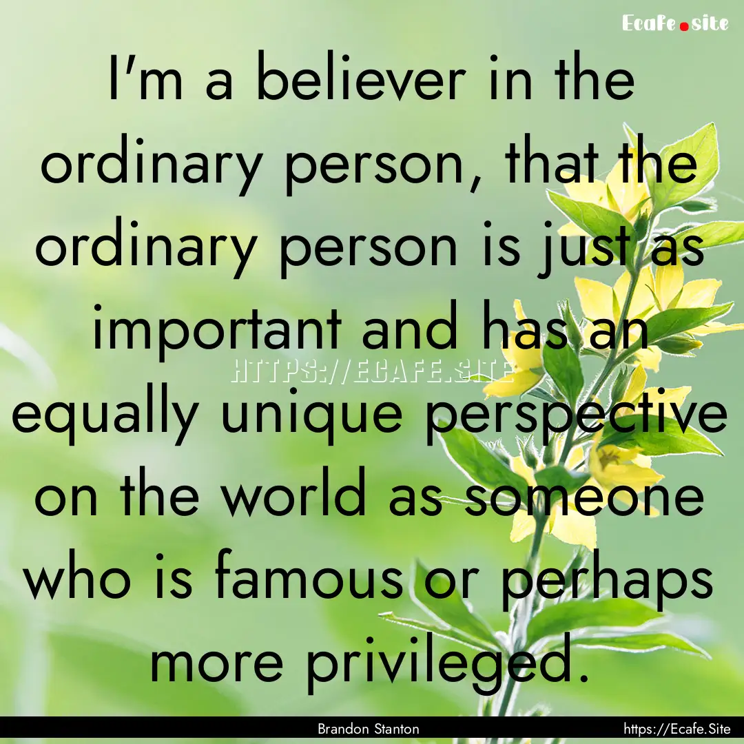 I'm a believer in the ordinary person, that.... : Quote by Brandon Stanton