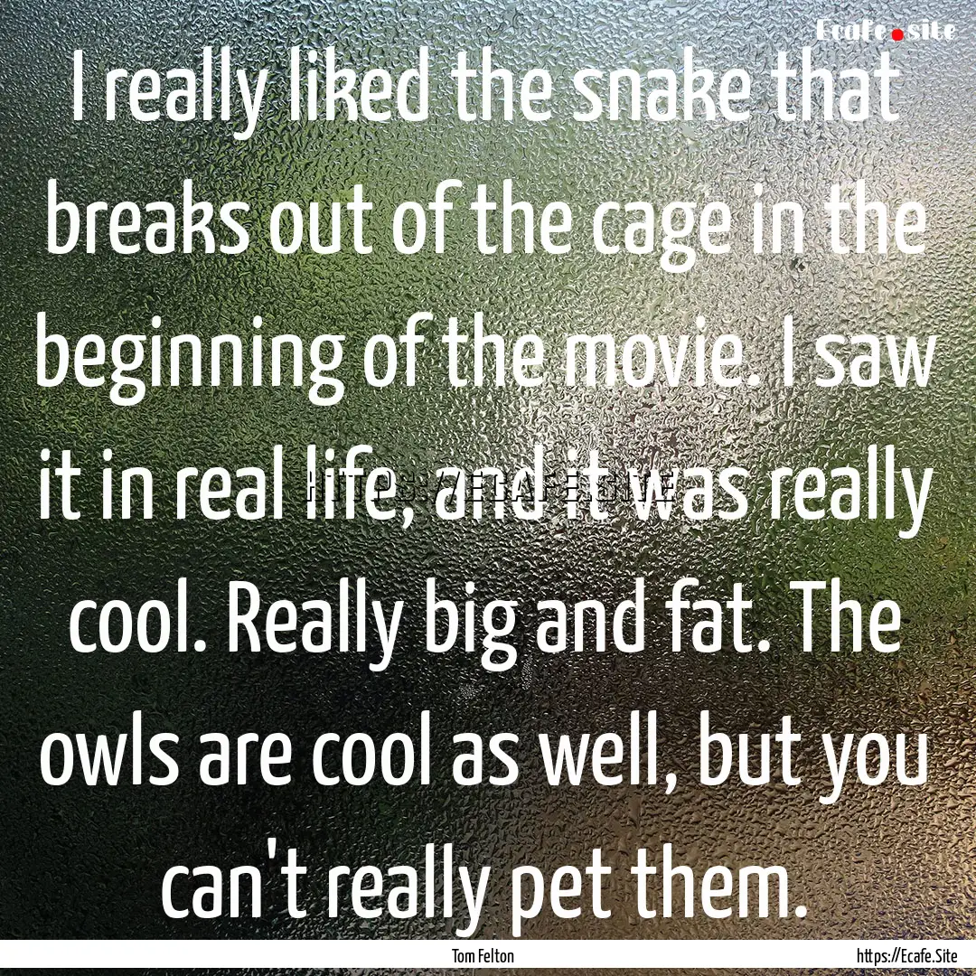 I really liked the snake that breaks out.... : Quote by Tom Felton