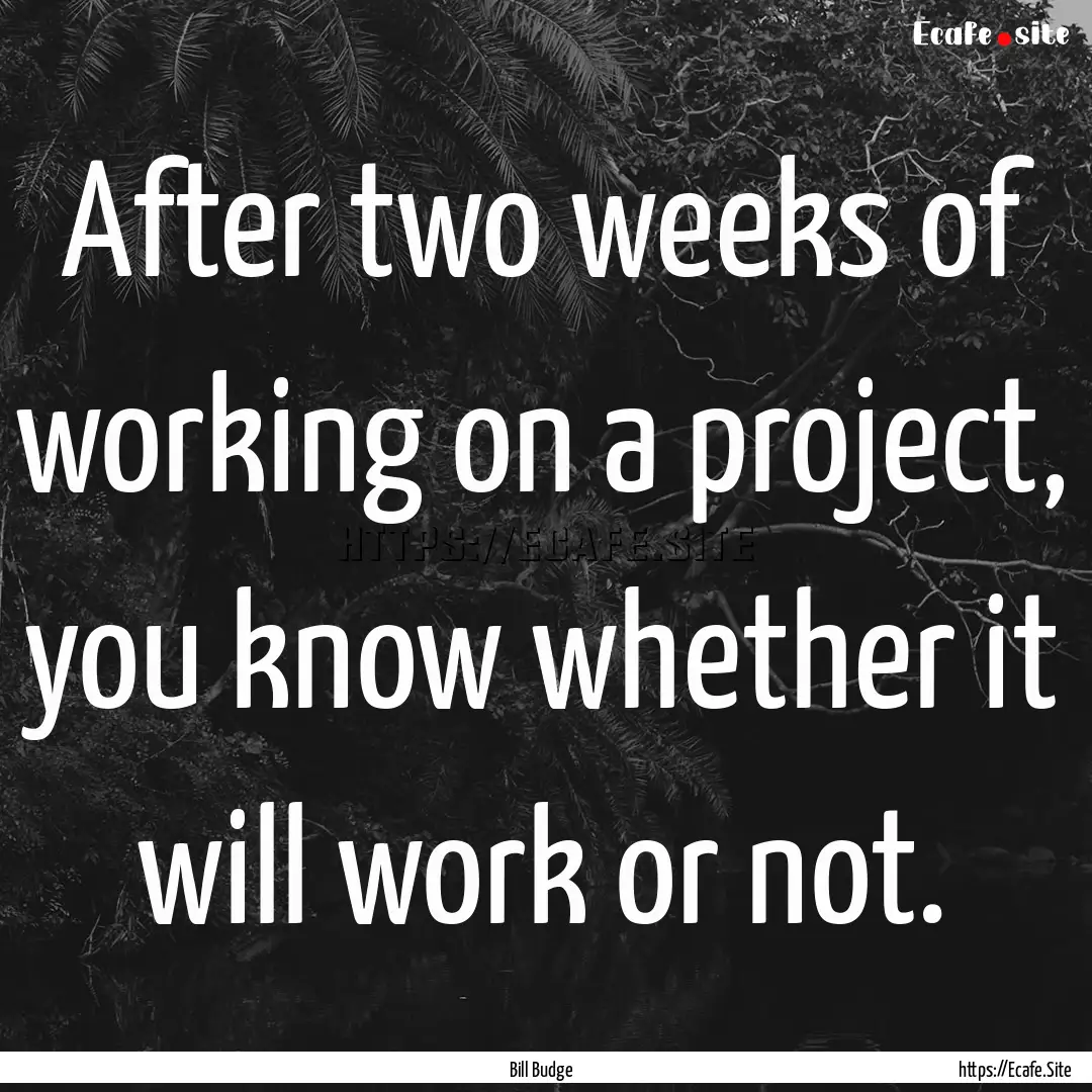 After two weeks of working on a project,.... : Quote by Bill Budge