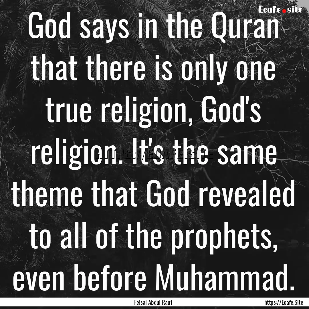 God says in the Quran that there is only.... : Quote by Feisal Abdul Rauf