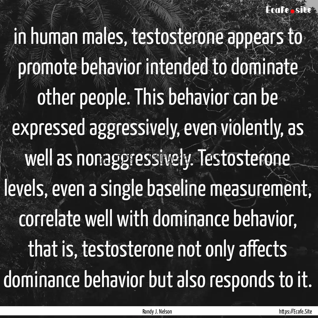 in human males, testosterone appears to promote.... : Quote by Randy J. Nelson