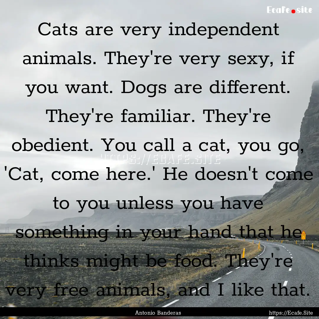 Cats are very independent animals. They're.... : Quote by Antonio Banderas