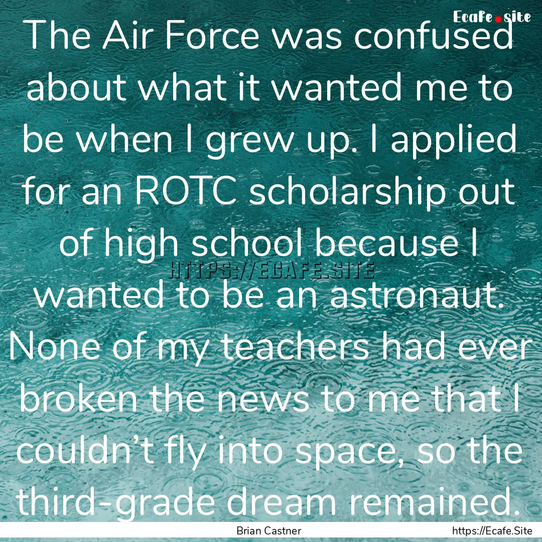 The Air Force was confused about what it.... : Quote by Brian Castner