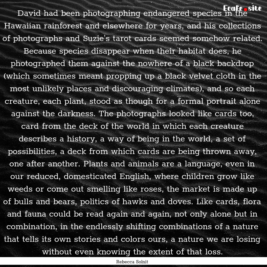 David had been photographing endangered species.... : Quote by Rebecca Solnit