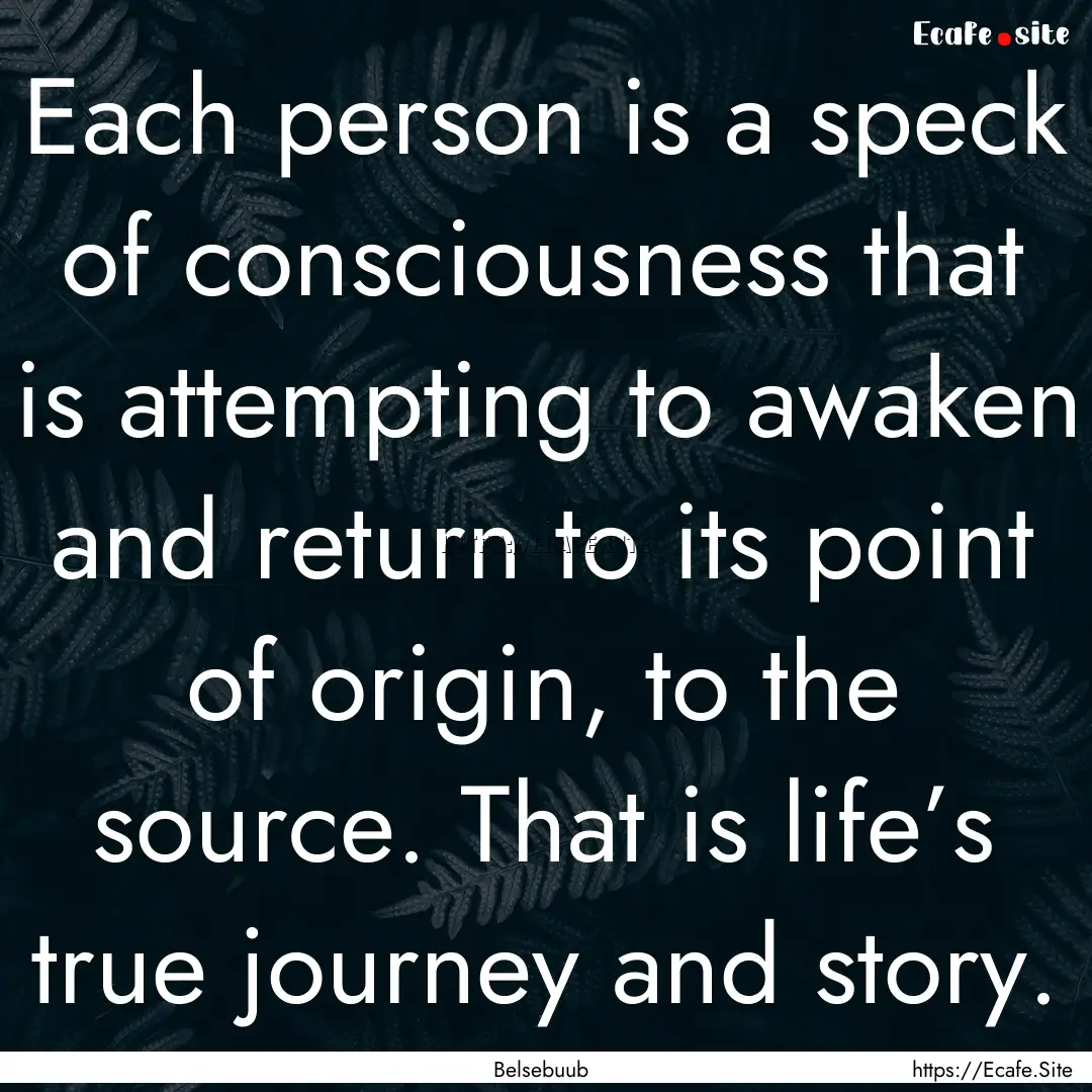 Each person is a speck of consciousness that.... : Quote by Belsebuub