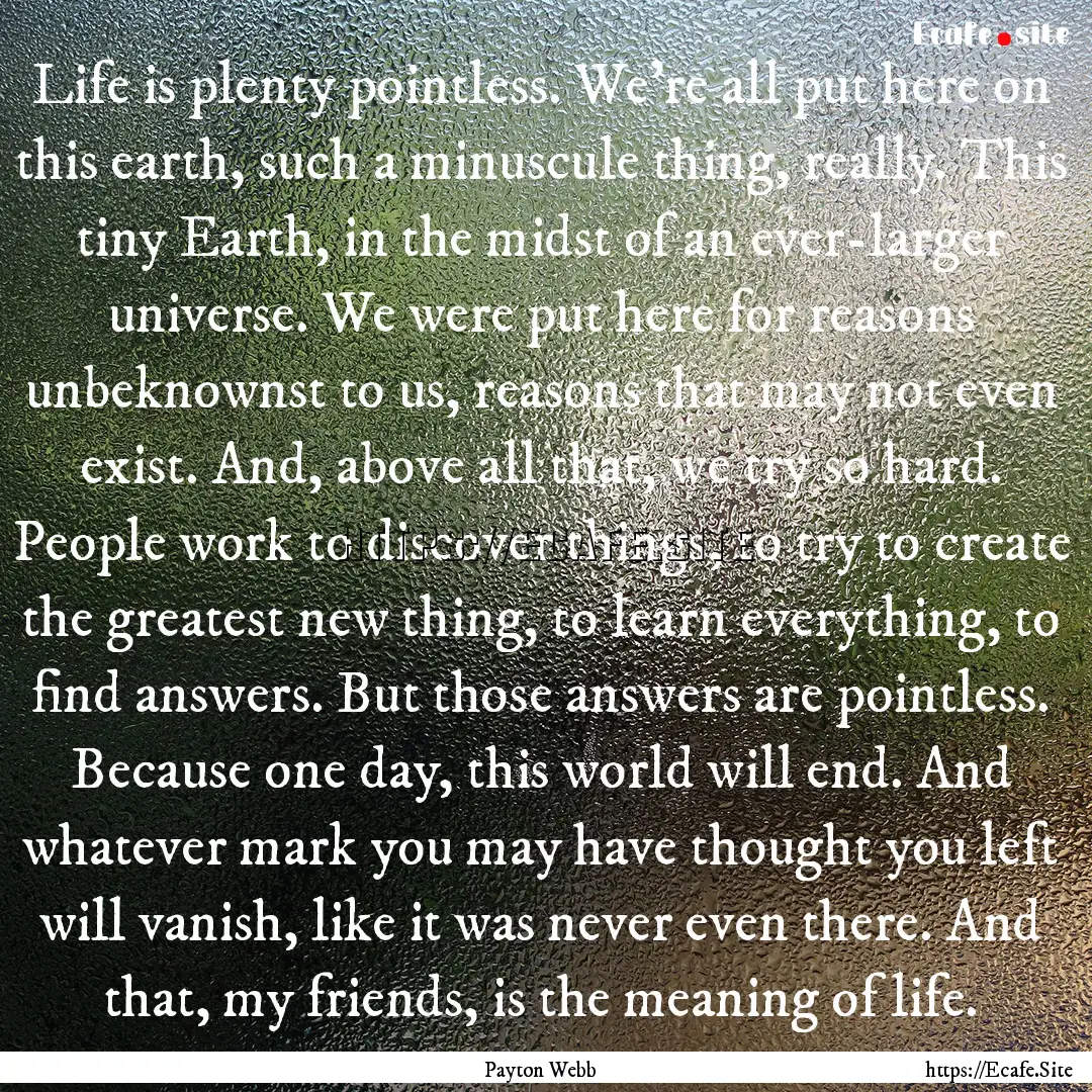 Life is plenty pointless. We're all put here.... : Quote by Payton Webb