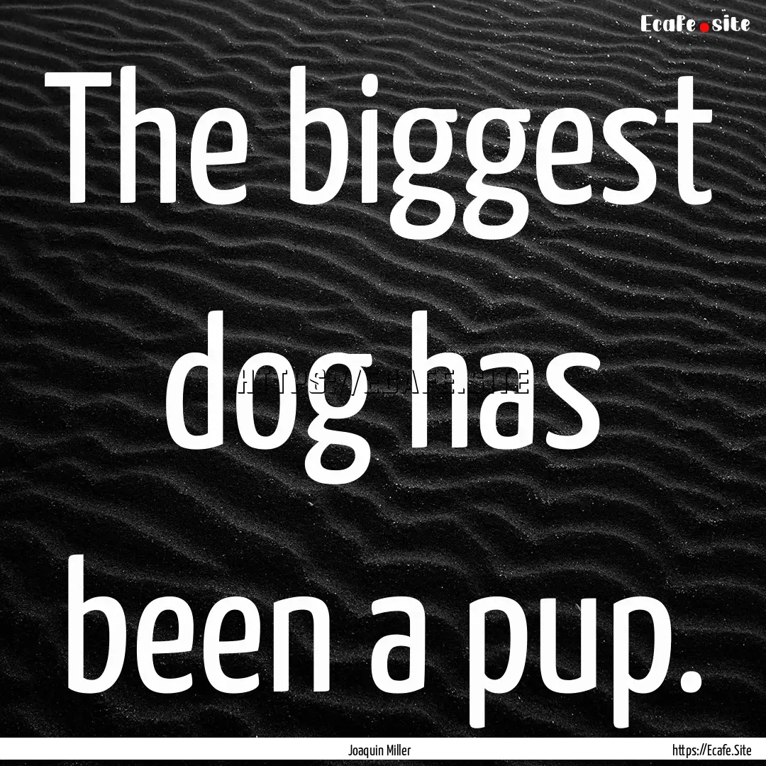 The biggest dog has been a pup. : Quote by Joaquin Miller