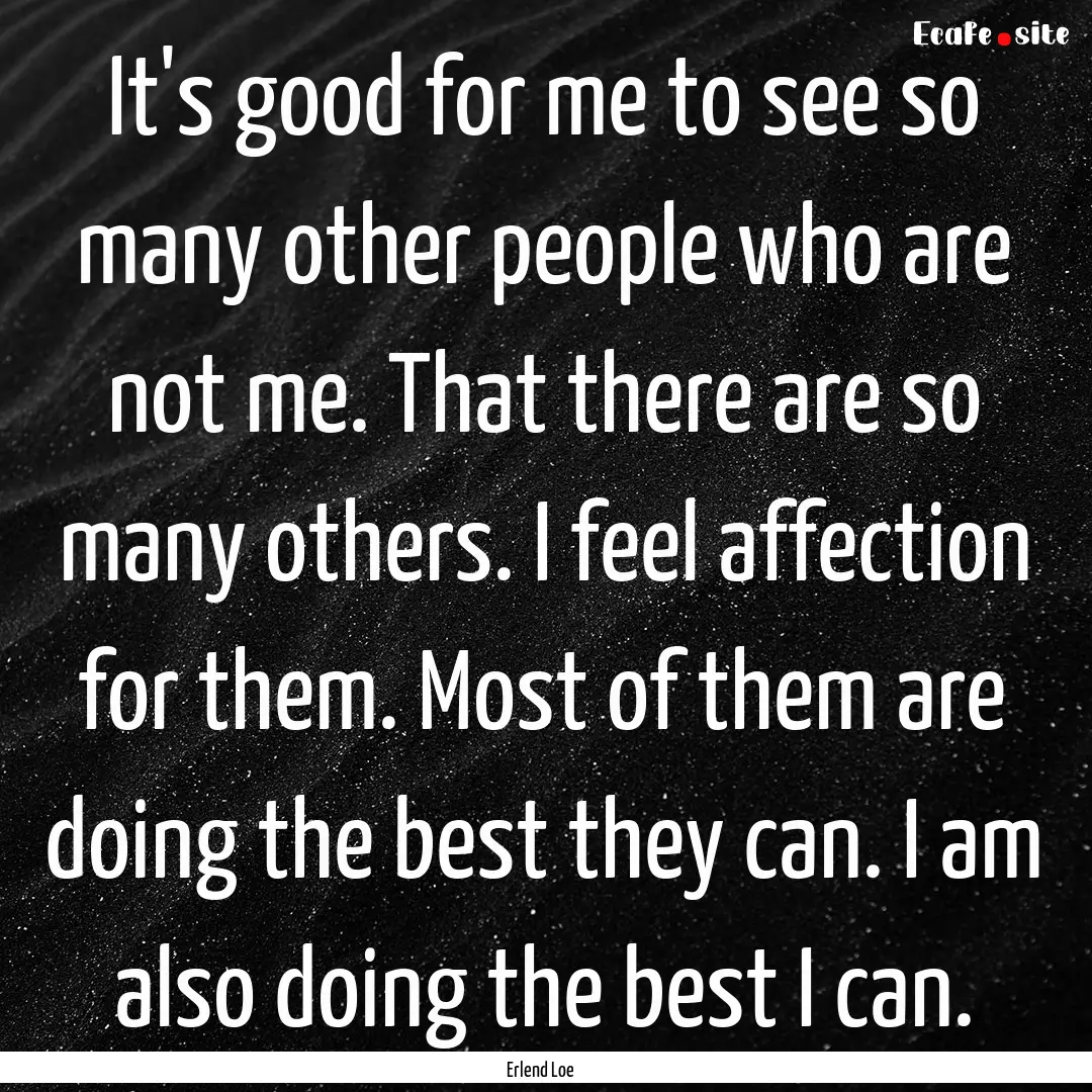 It's good for me to see so many other people.... : Quote by Erlend Loe