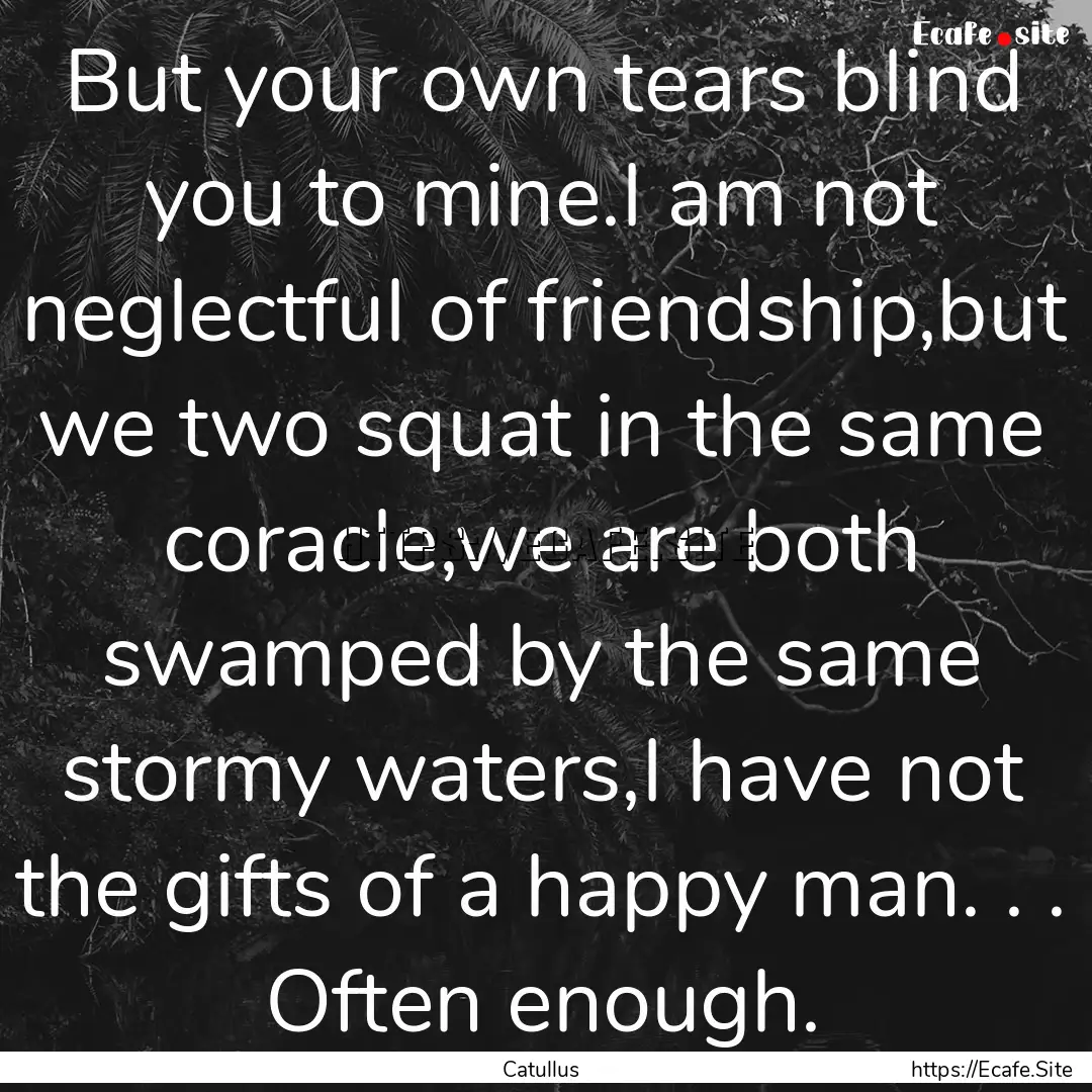 But your own tears blind you to mine.I am.... : Quote by Catullus