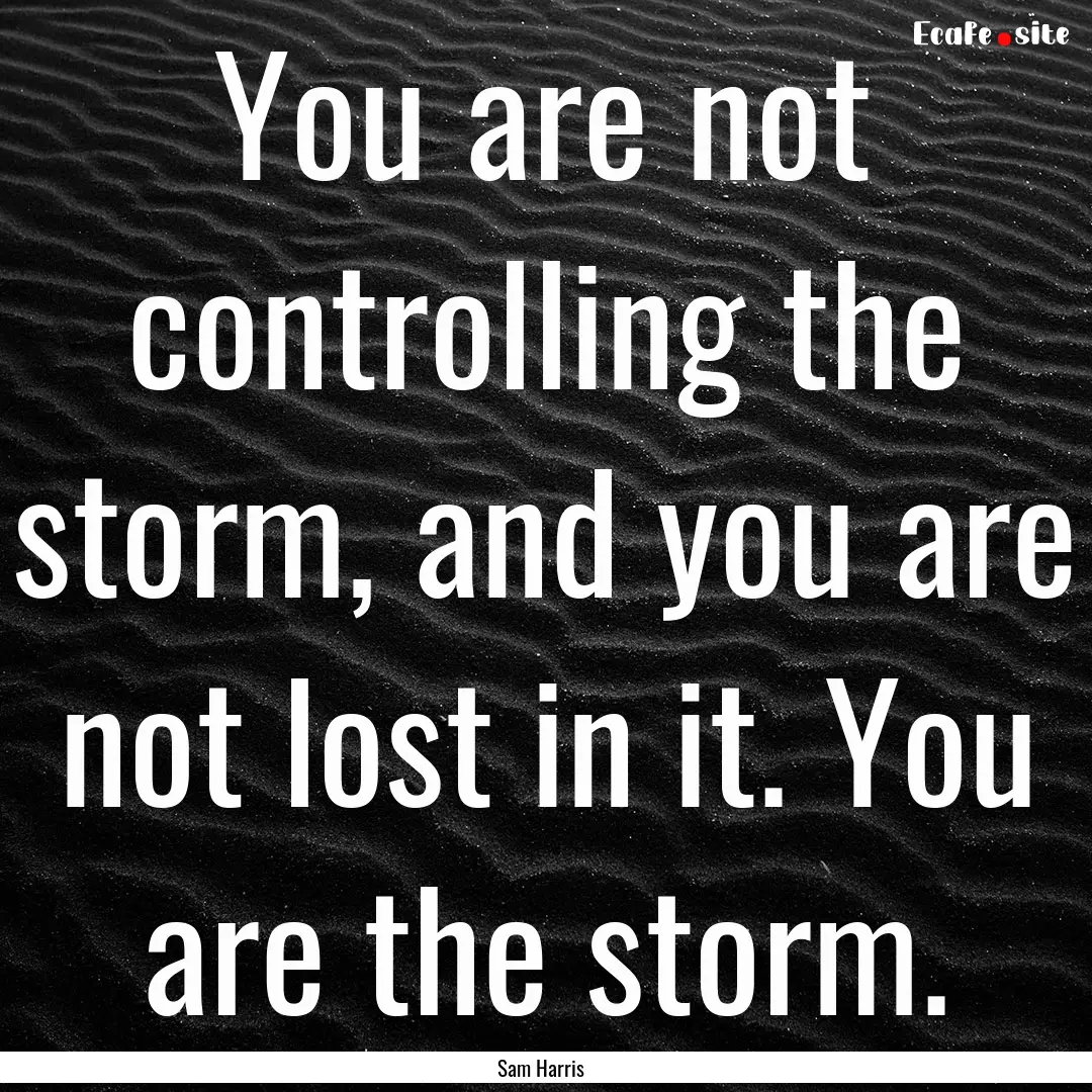 You are not controlling the storm, and you.... : Quote by Sam Harris