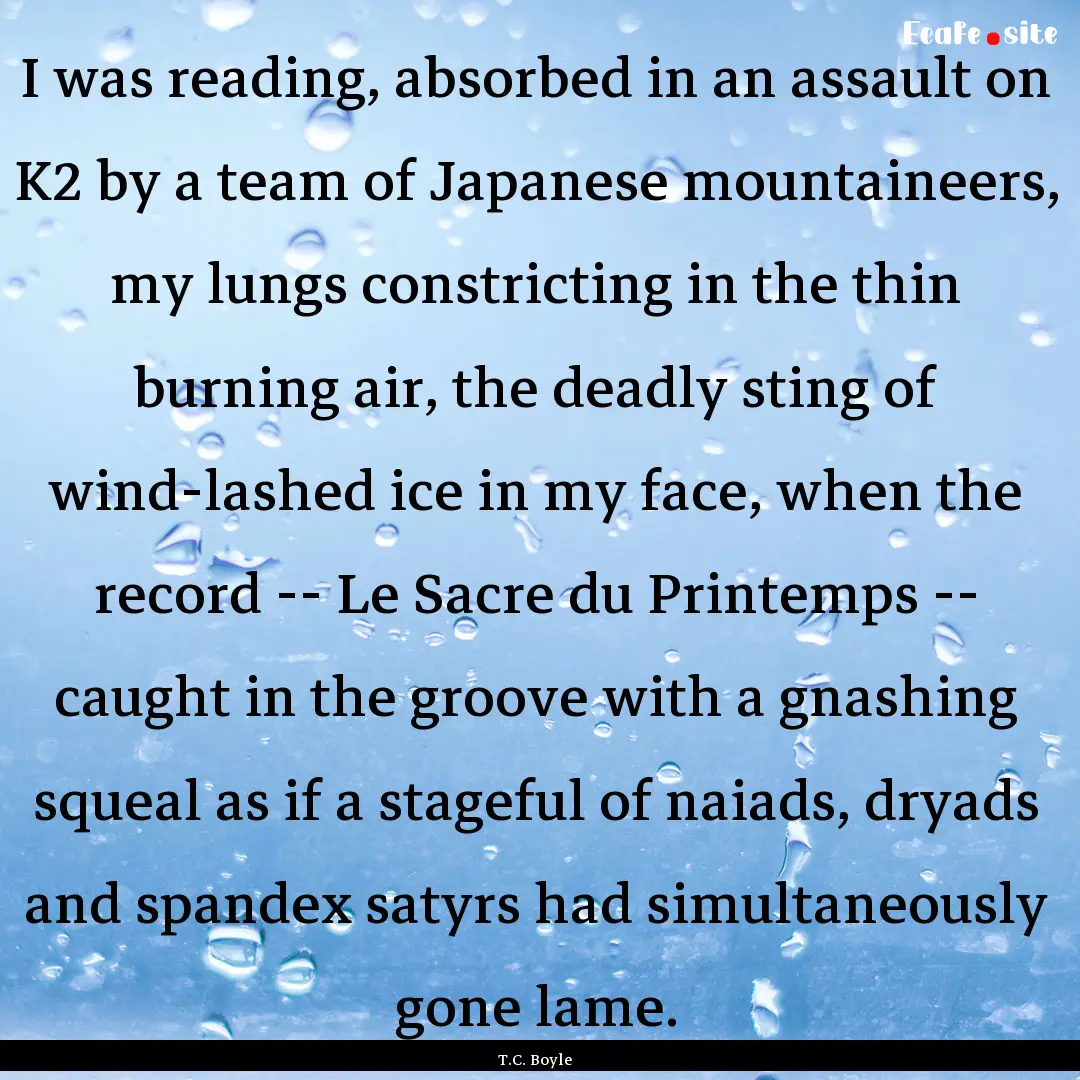 I was reading, absorbed in an assault on.... : Quote by T.C. Boyle