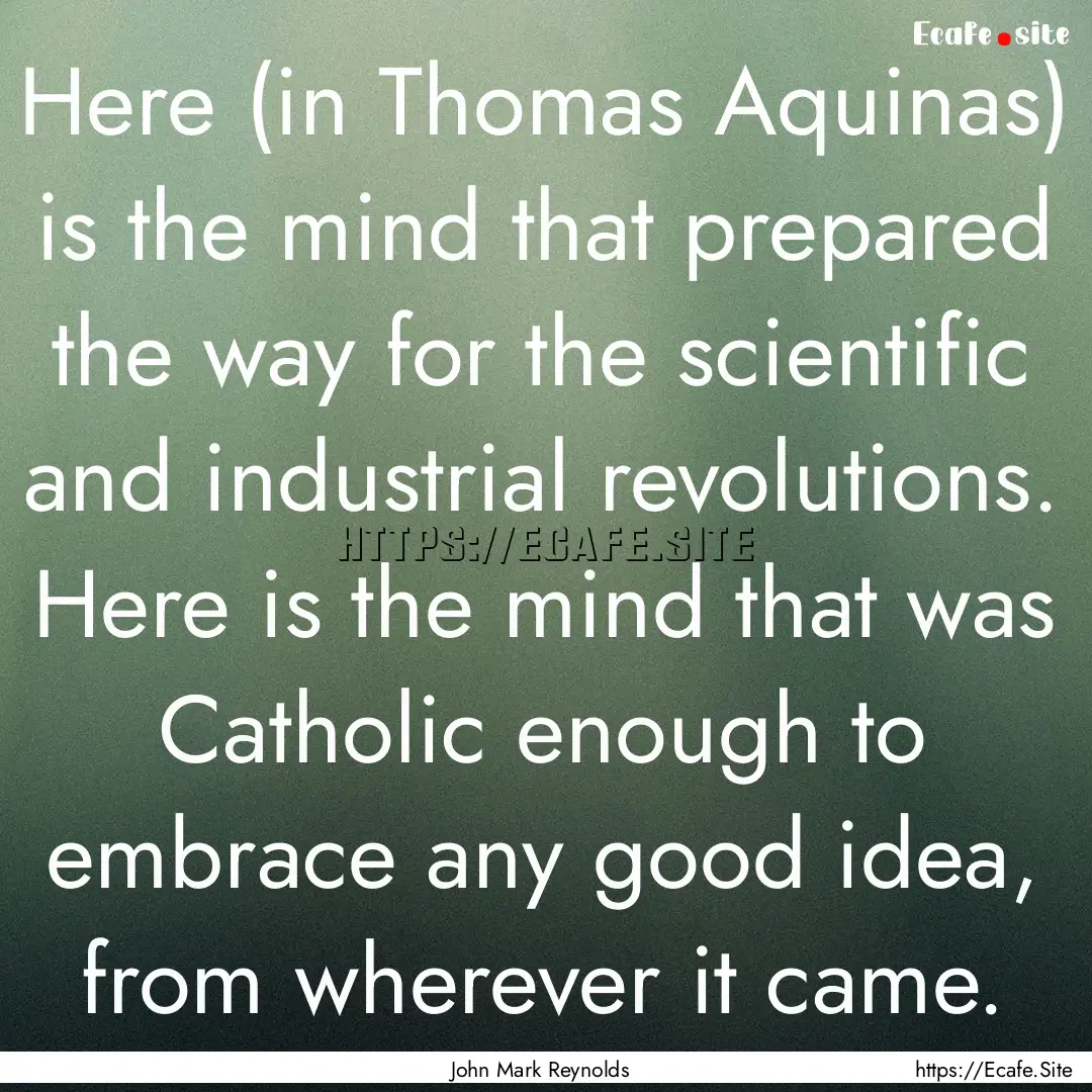 Here (in Thomas Aquinas) is the mind that.... : Quote by John Mark Reynolds