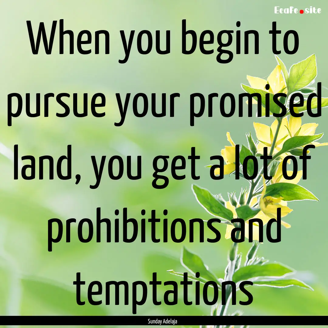 When you begin to pursue your promised land,.... : Quote by Sunday Adelaja